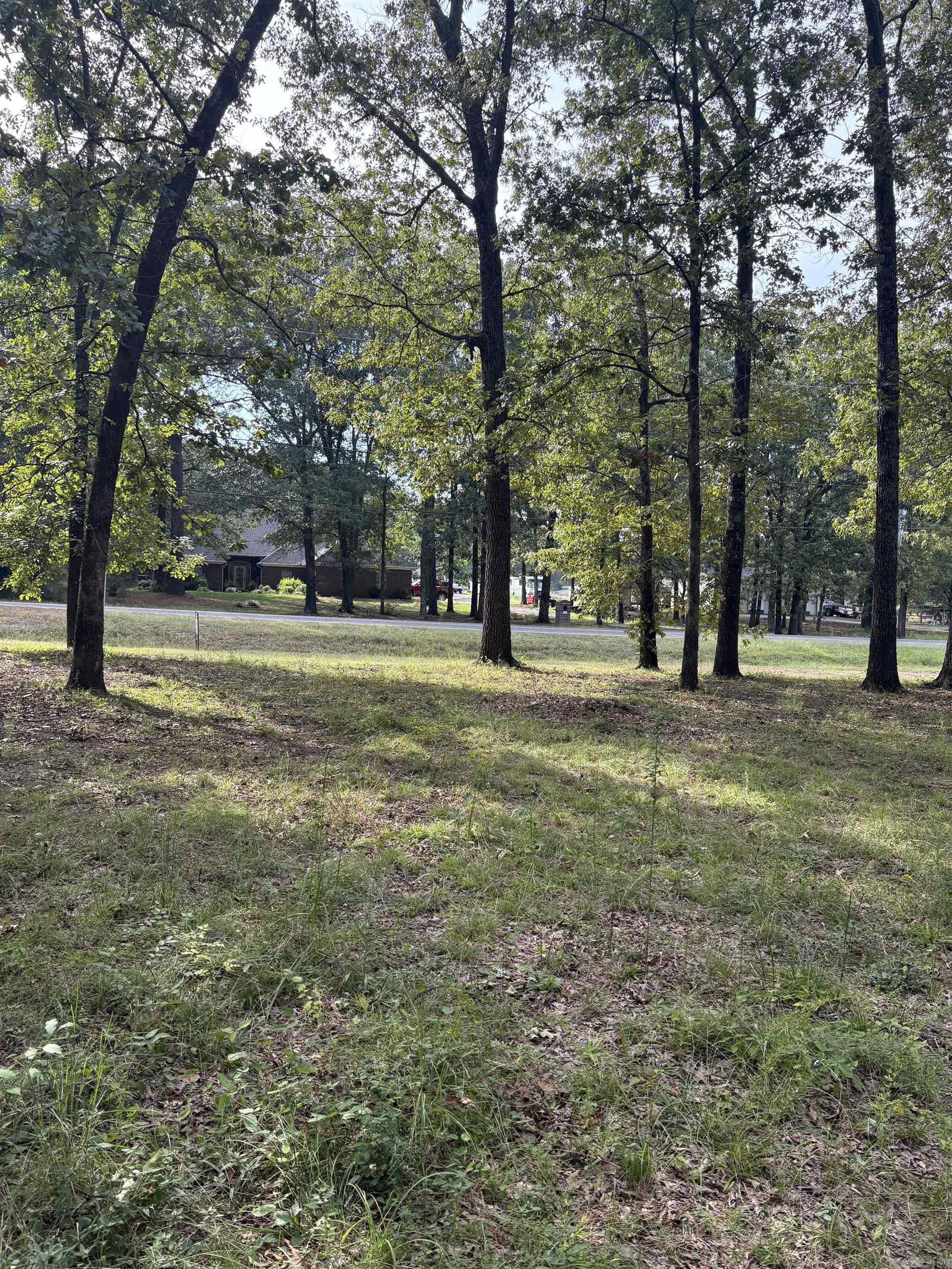 0 Mountain Drive  Greenbrier, AR