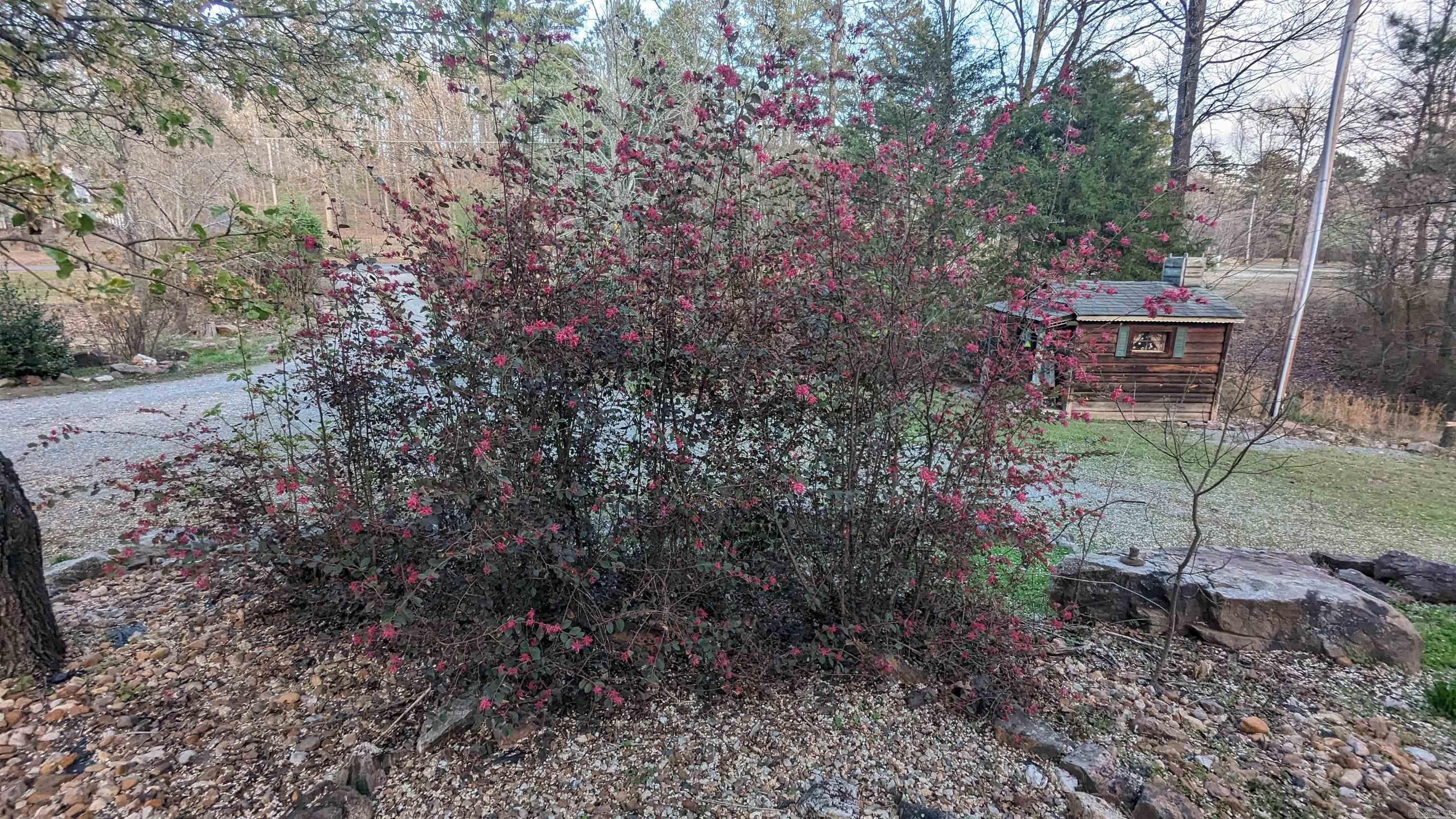 235 Wildflower Ct  Hot Springs, AR