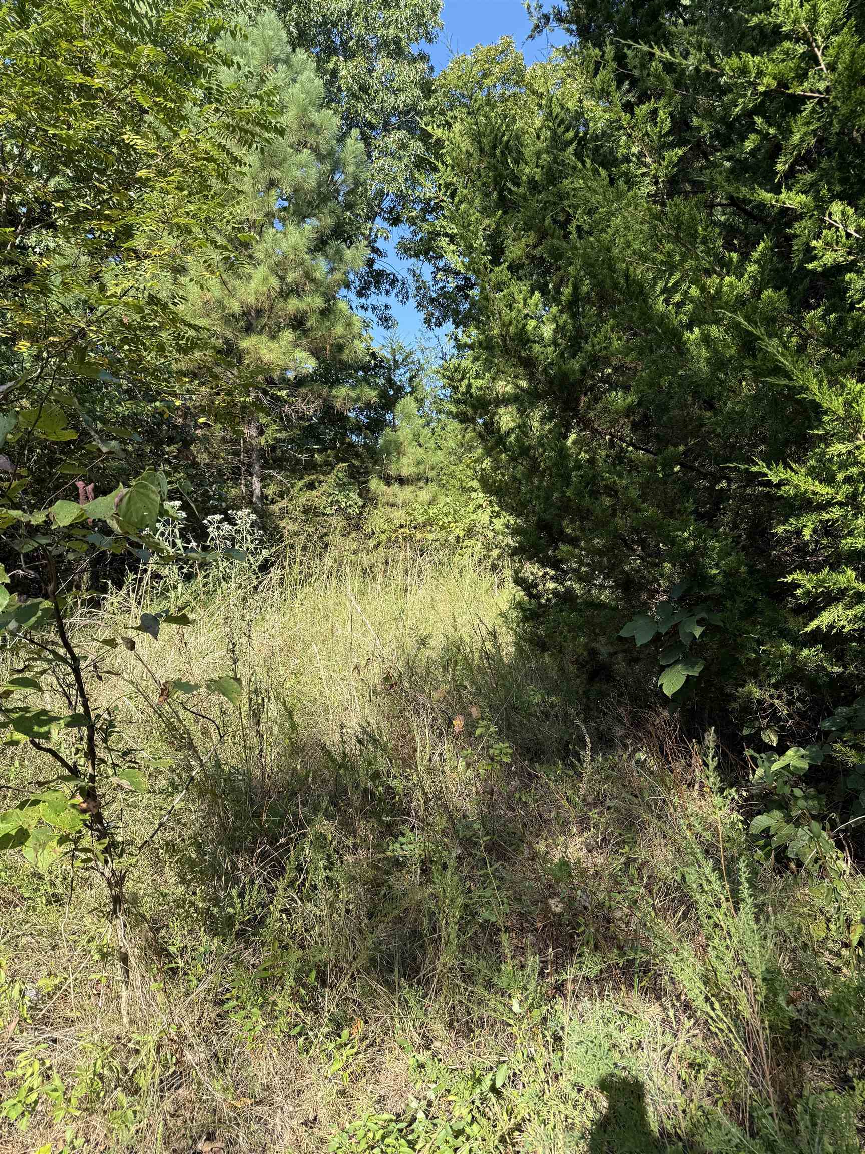 1213 Ridge Circle  Horseshoe Bend, AR