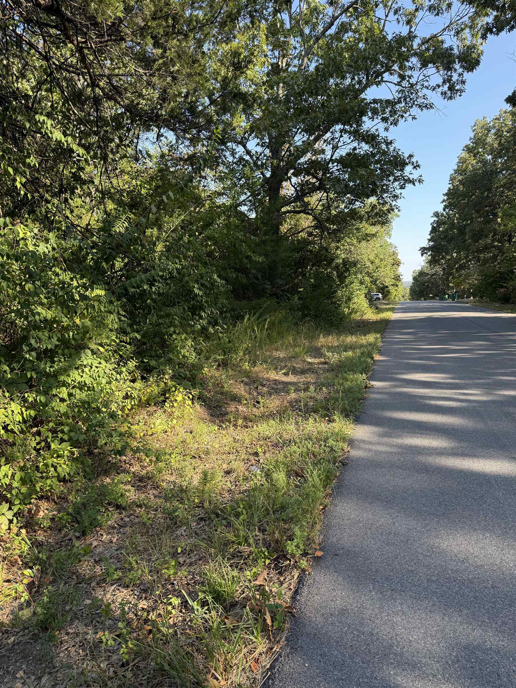 1213 Ridge Circle  Horseshoe Bend, AR
