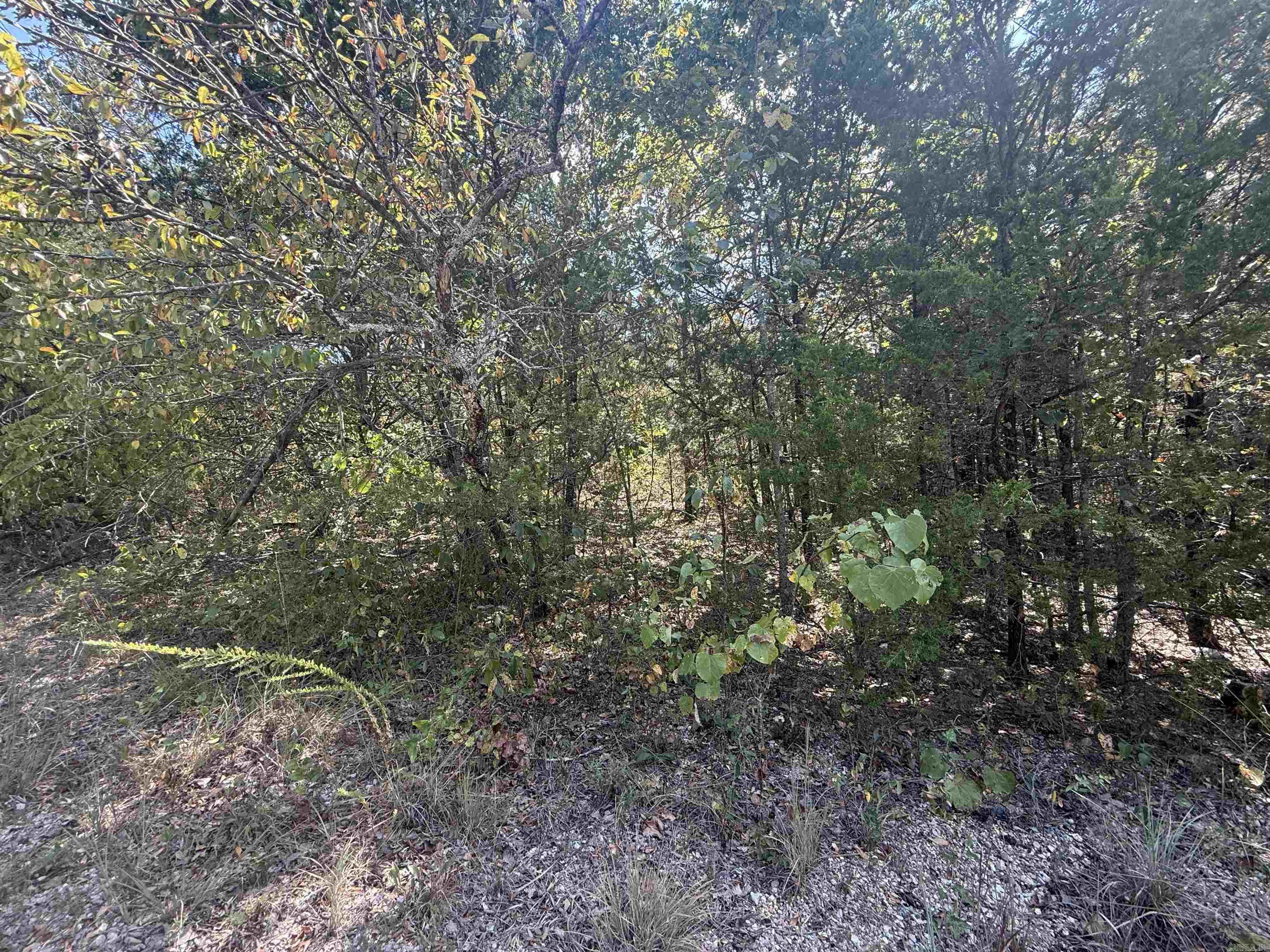 Lots 234 & 235 Loch Lomond  Mountain Home, AR