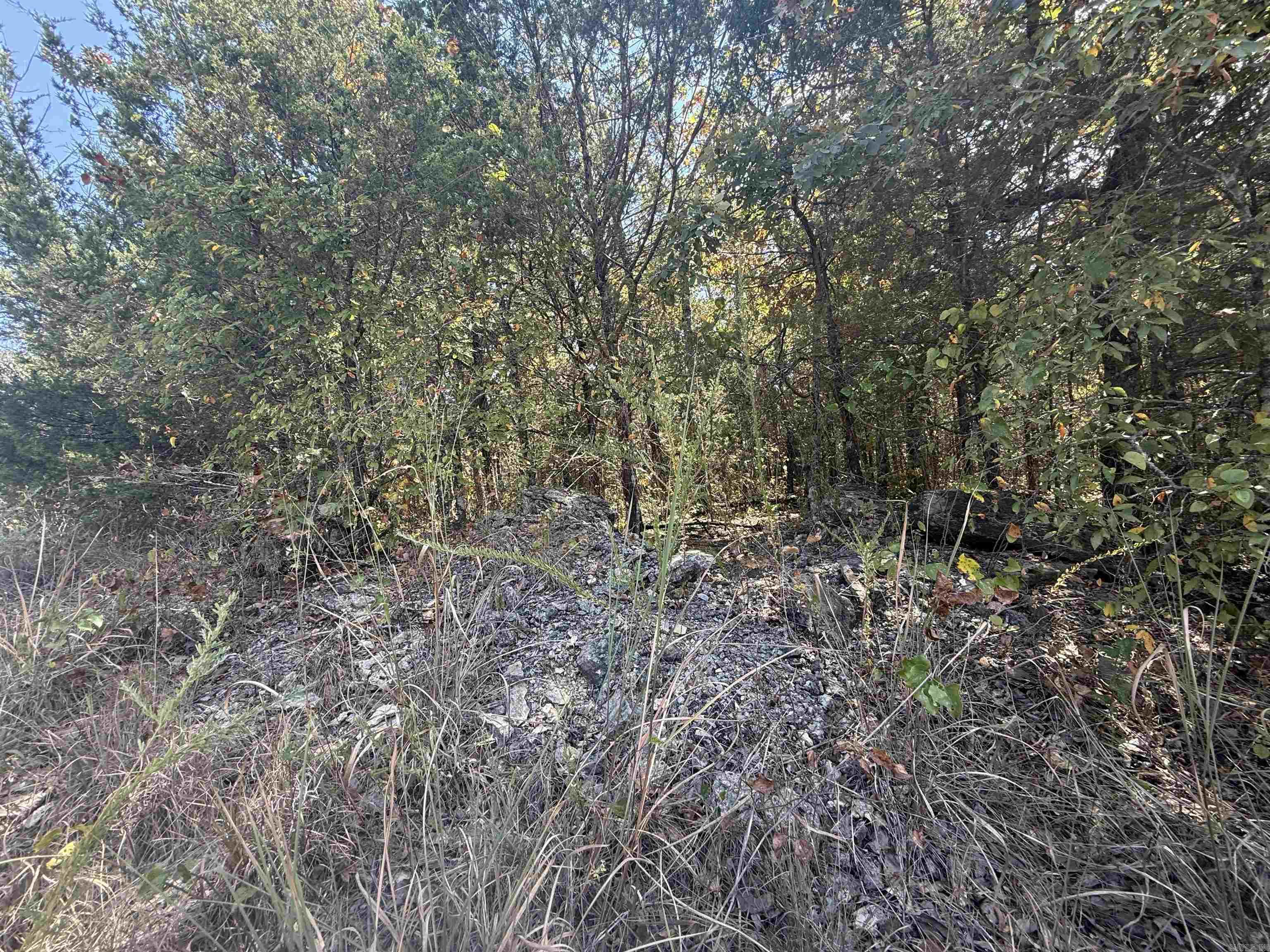 Lots 234 & 235 Loch Lomond  Mountain Home, AR