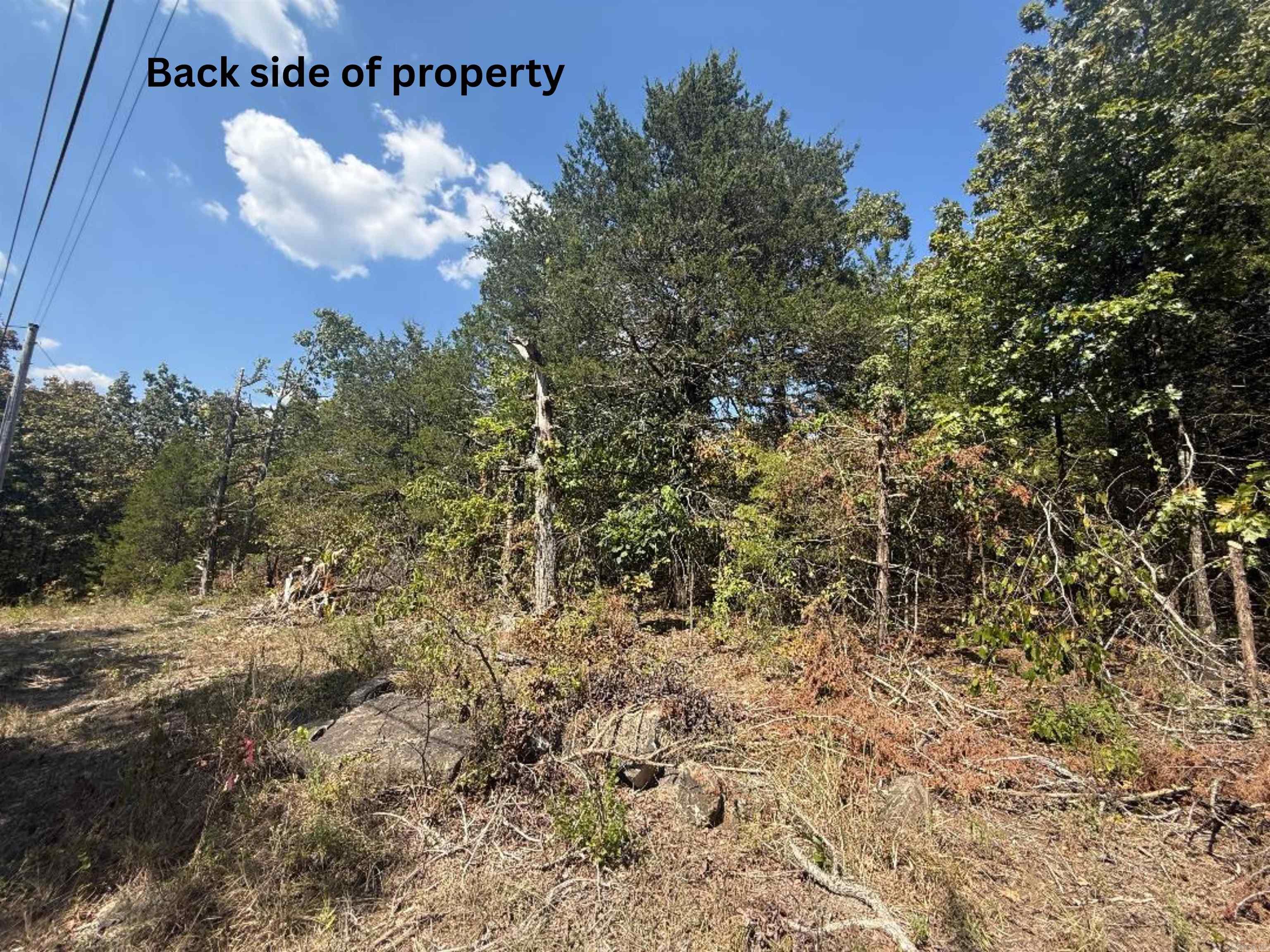 Lots 234 & 235 Loch Lomond  Mountain Home, AR