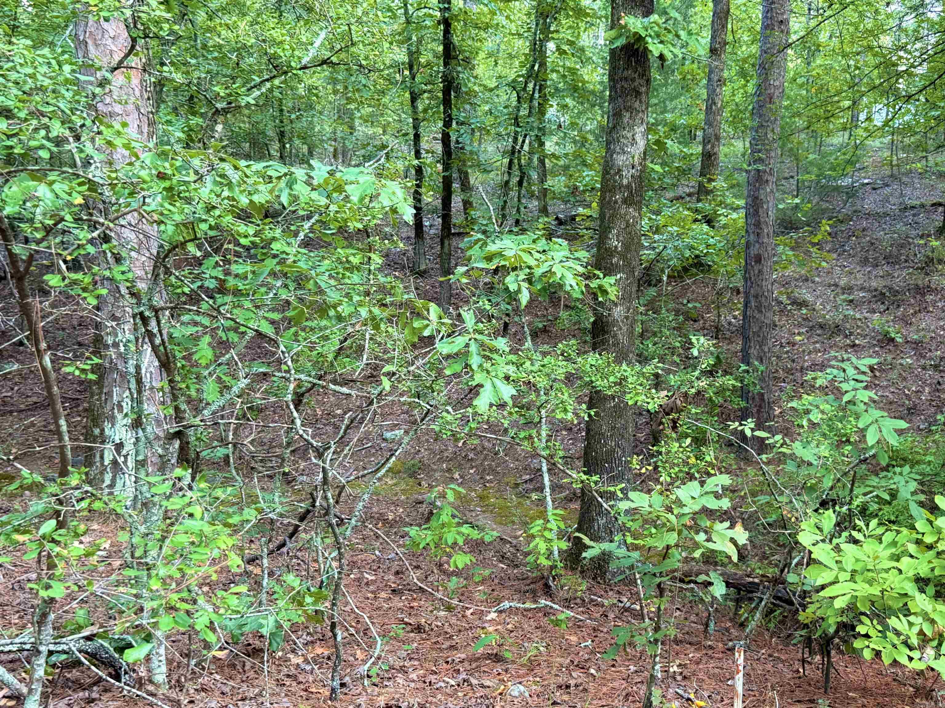 190 Turtle Creek  Hot Springs, AR