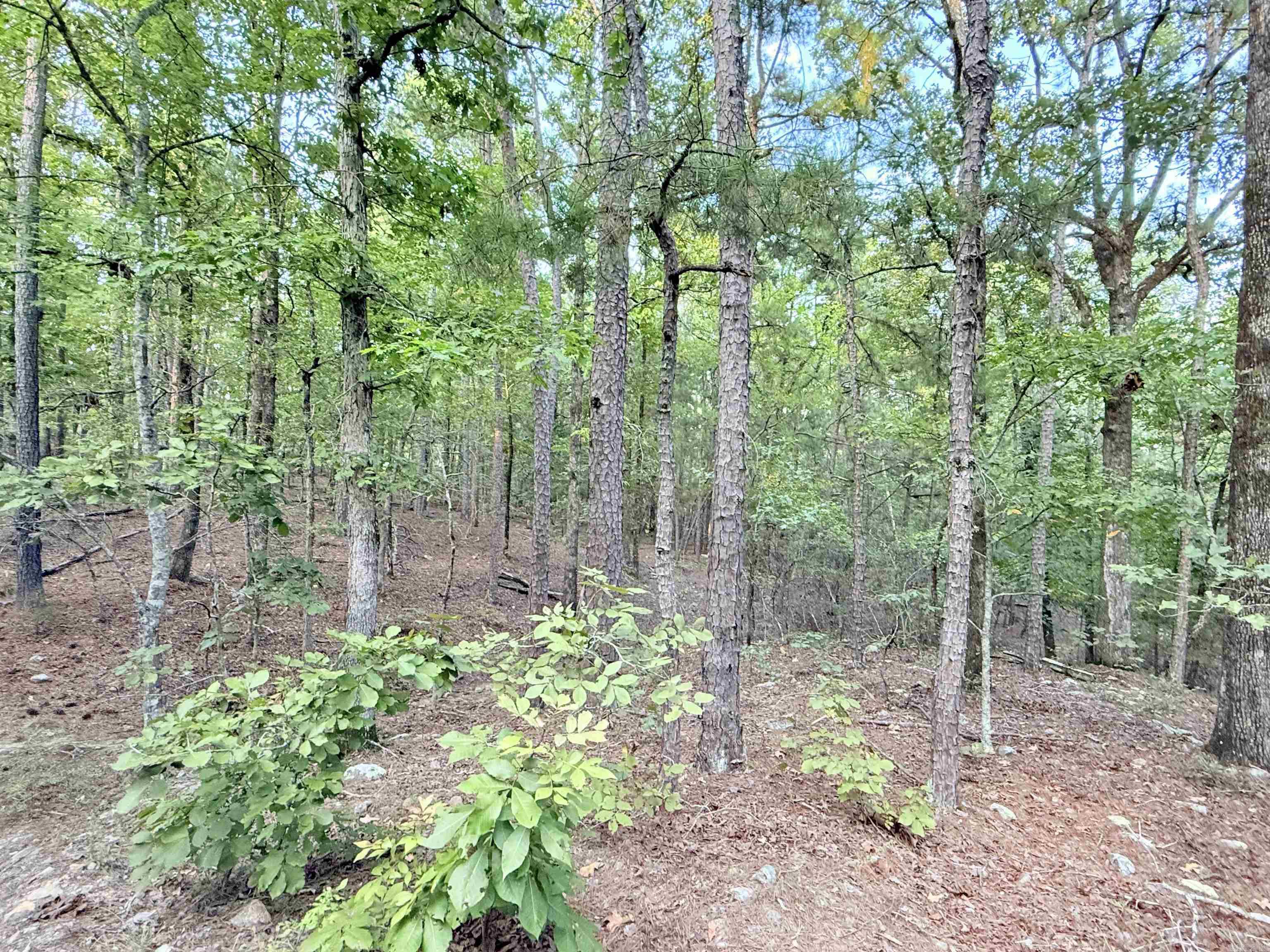 190 Turtle Creek  Hot Springs, AR