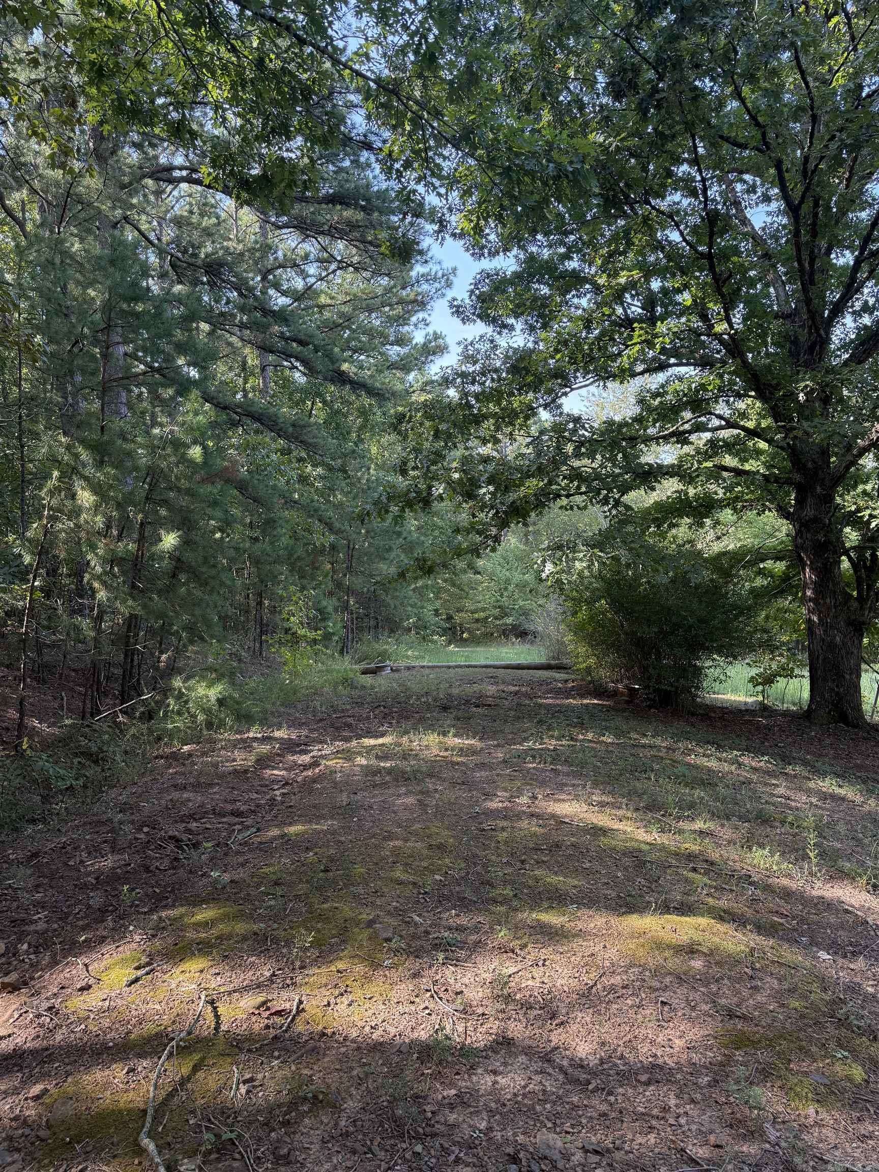 TBD Off Burnt Ridge Road  Shirley, AR