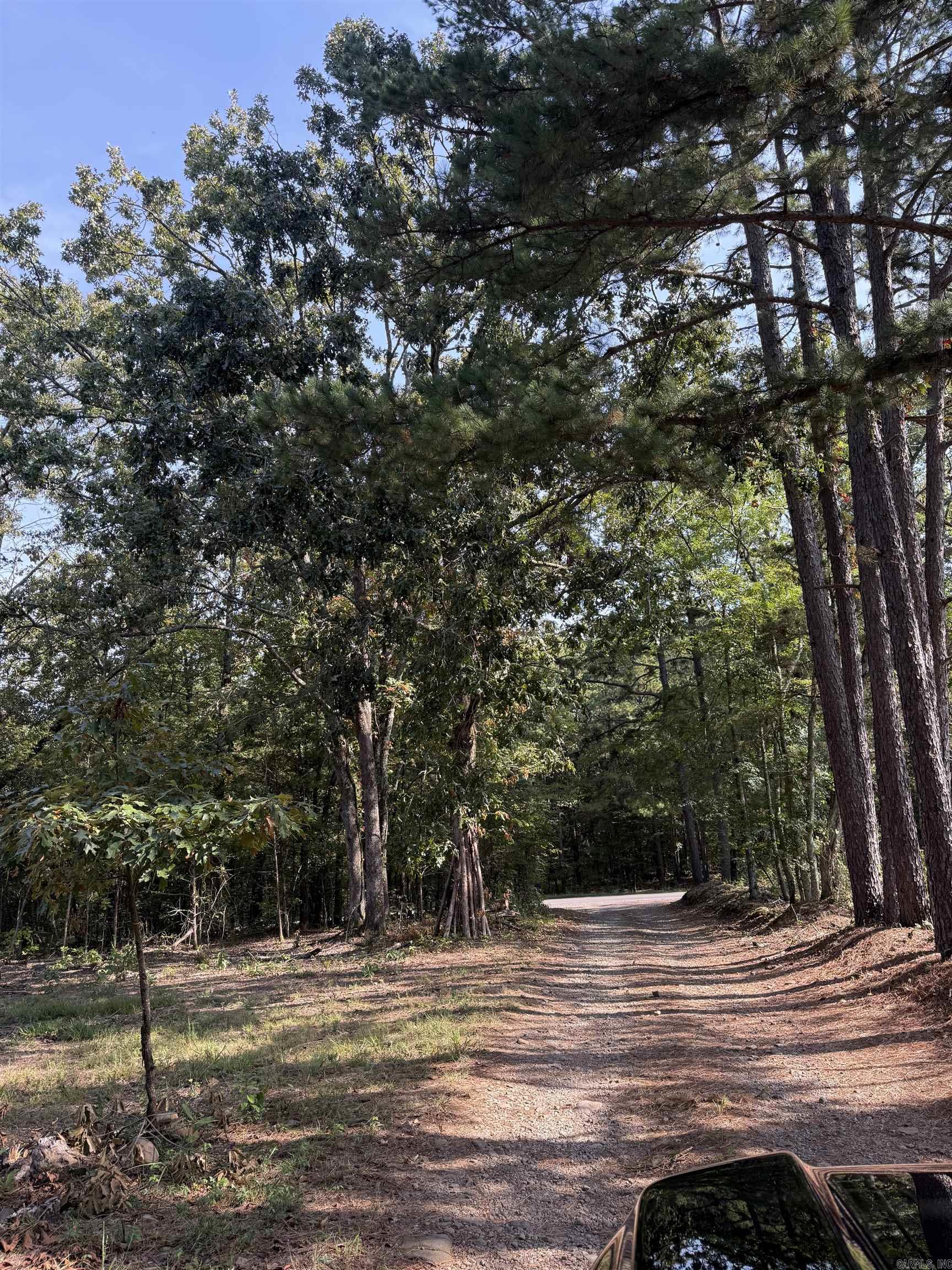 TBD Off Burnt Ridge Road  Shirley, AR