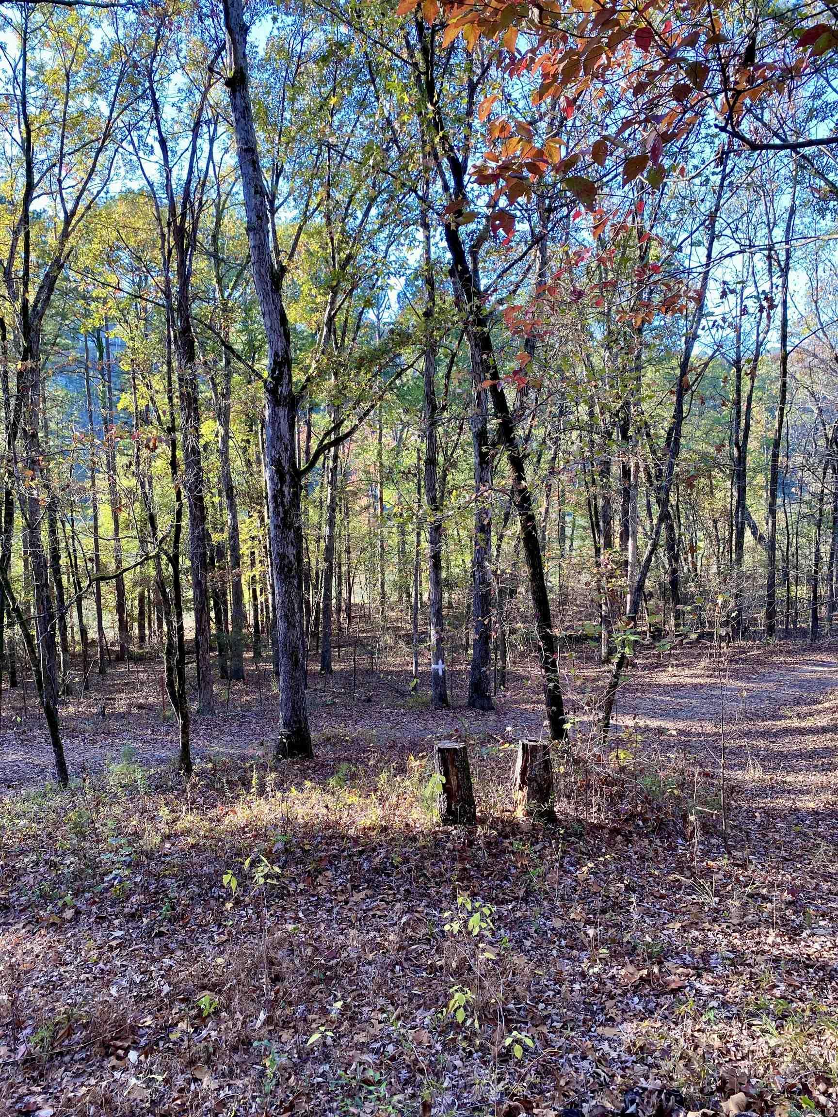 1494 Private Road 2704  London, AR