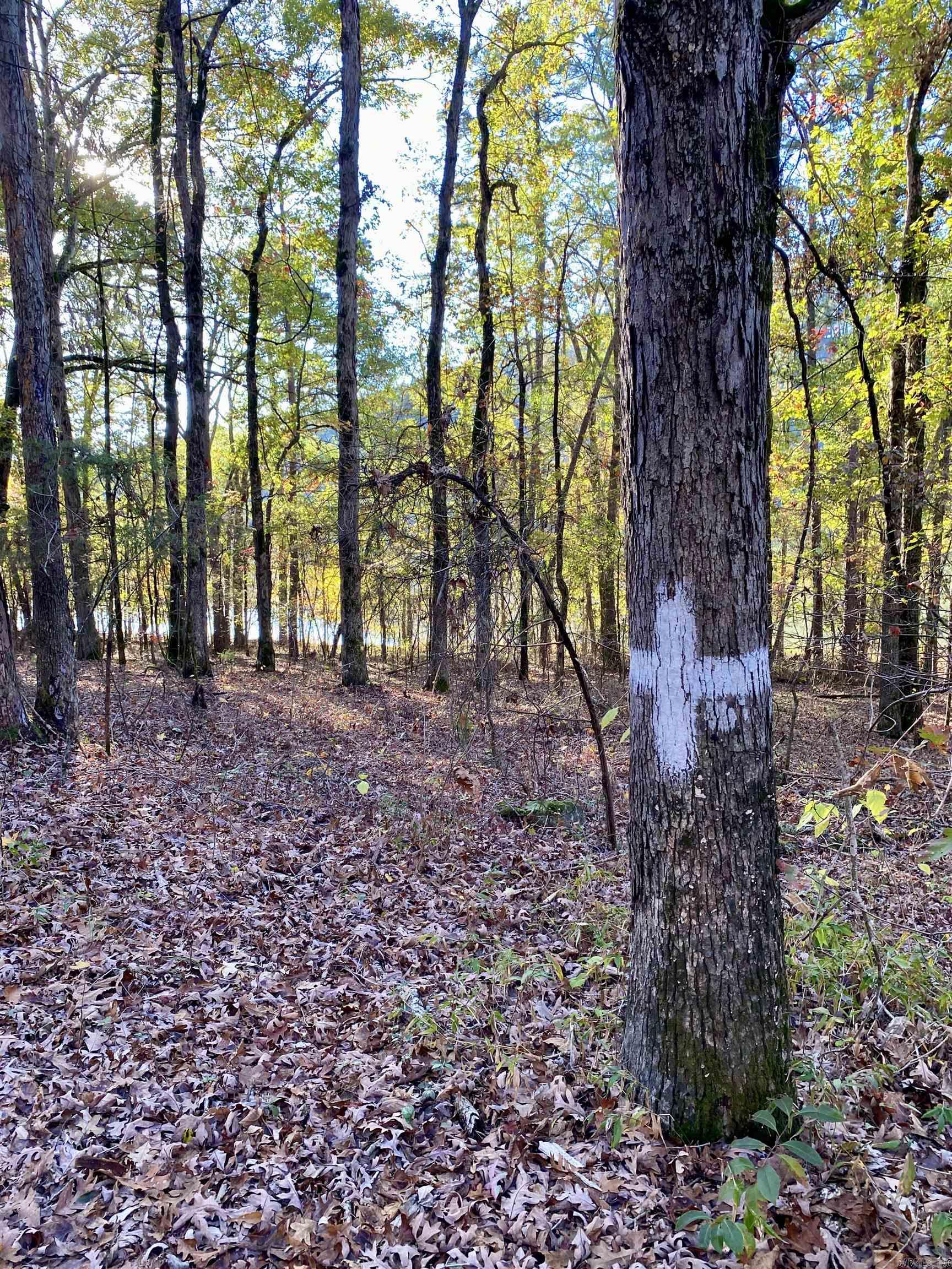 1494 Private Road 2704  London, AR