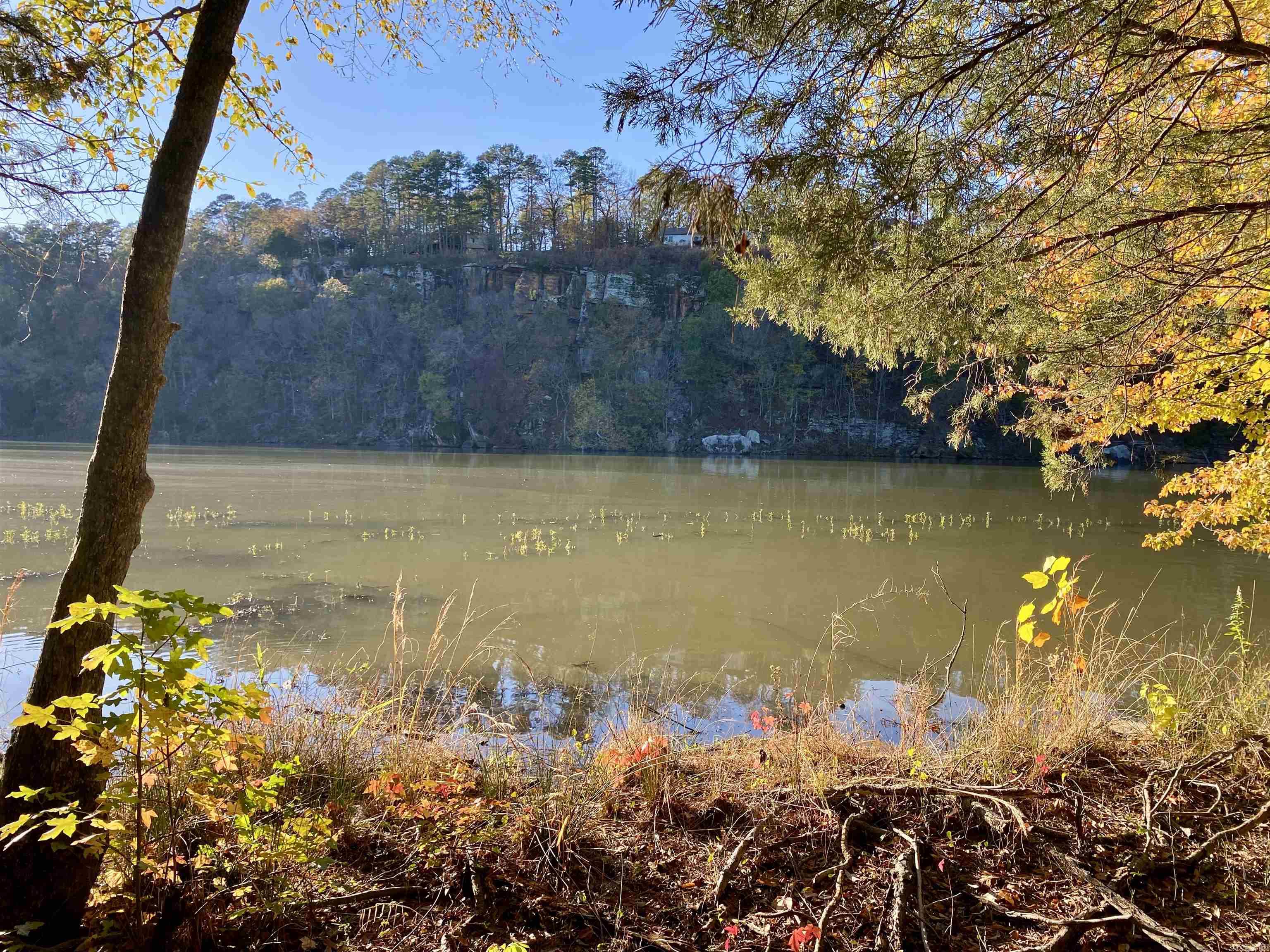 1494 Private Road 2704  London, AR