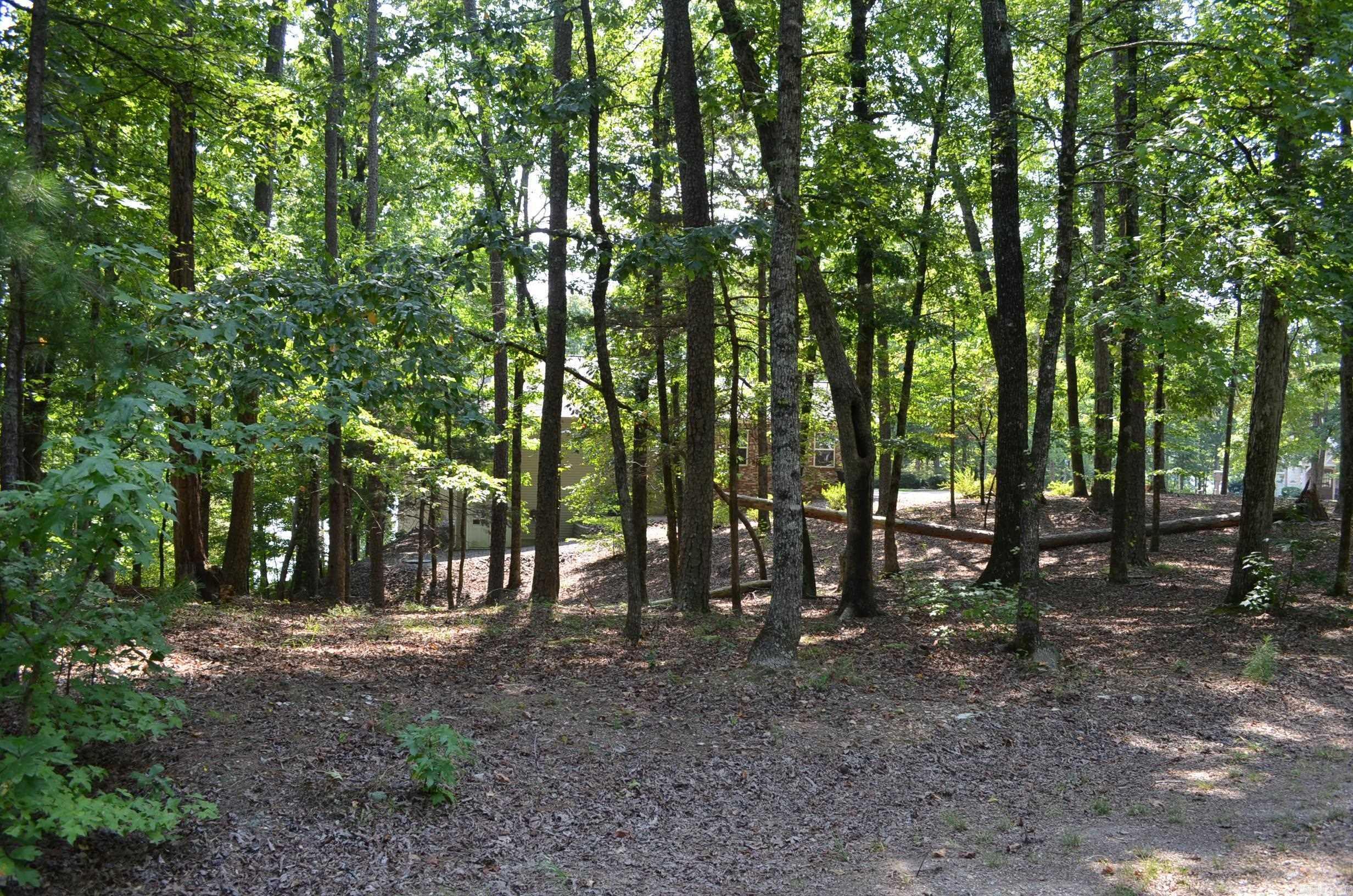1 Sacedon cir  Hot Springs Village, AR