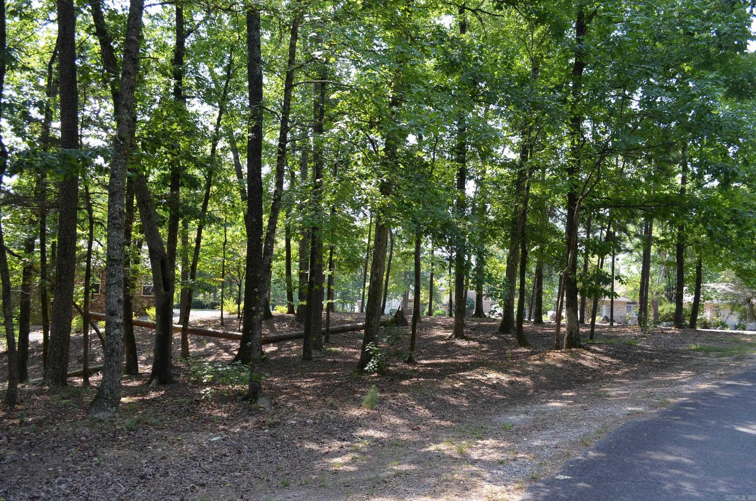 1 Sacedon cir  Hot Springs Village, AR