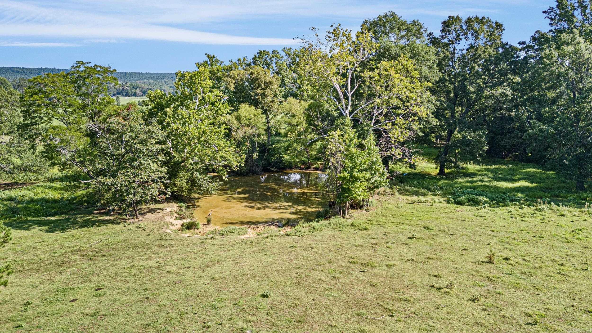 18015 E State Highway 28  Ola, AR