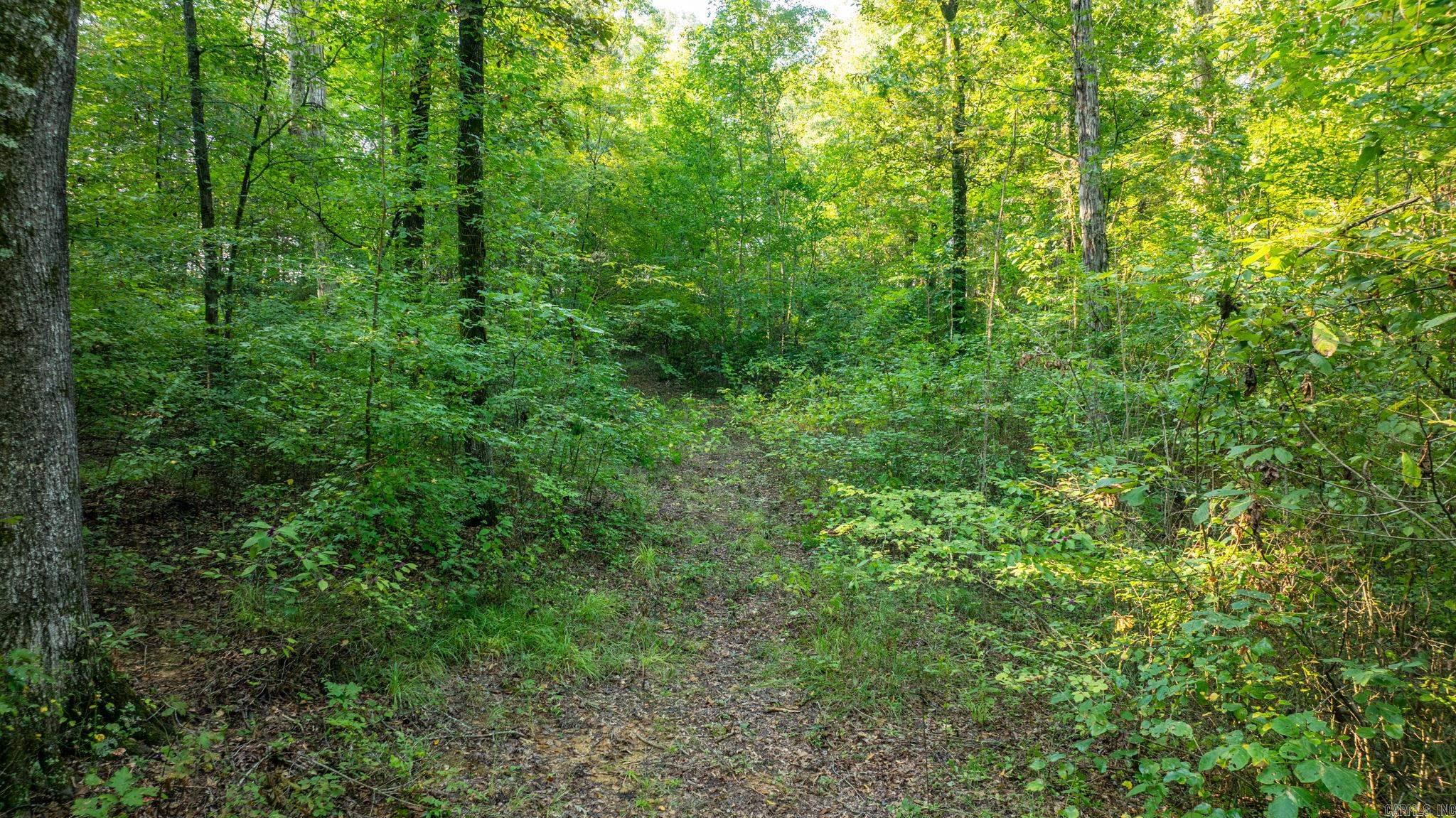 138 Union Road  Greenbrier, AR