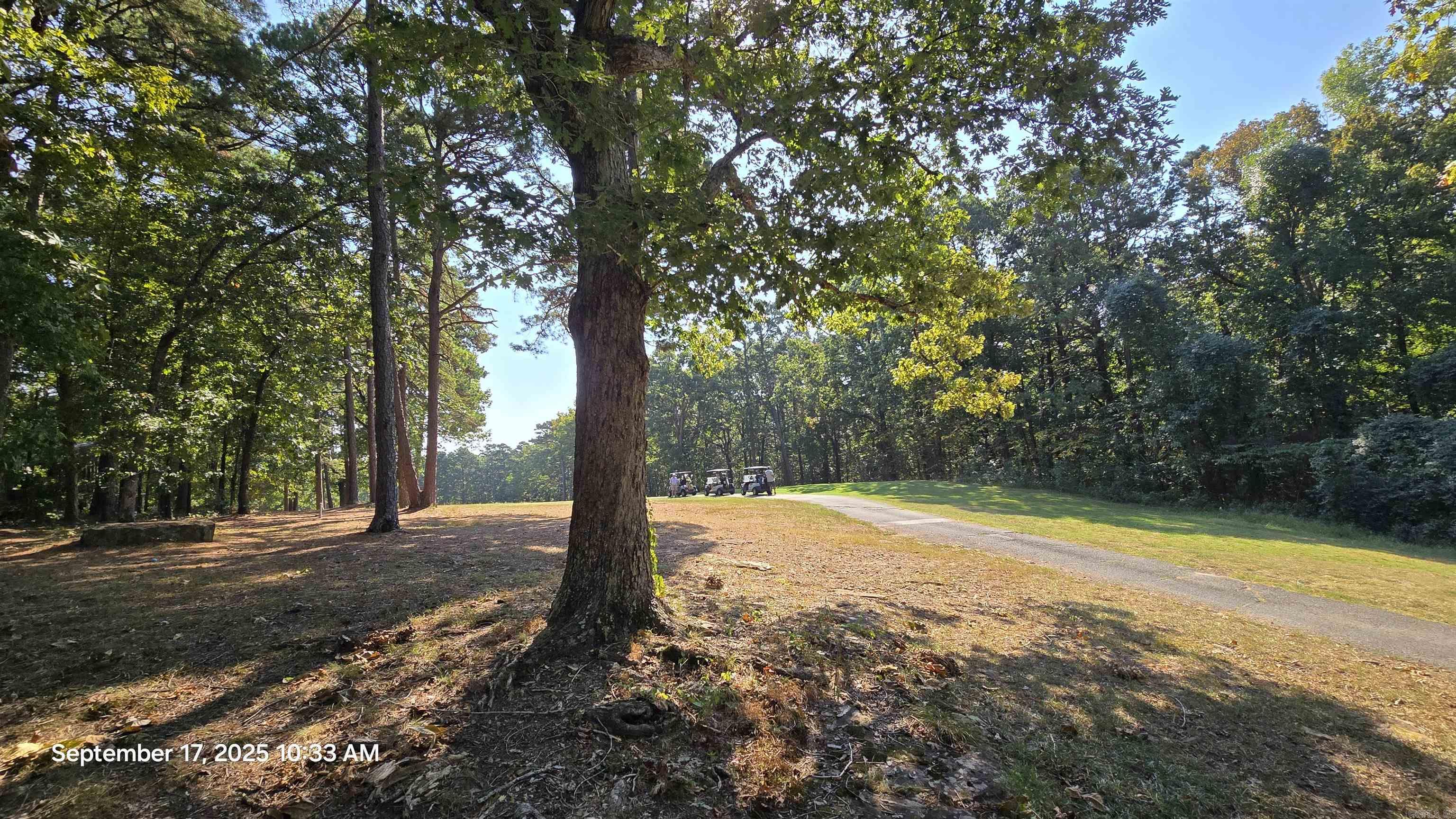 106 Whistling Pines  Fairfield Bay, AR