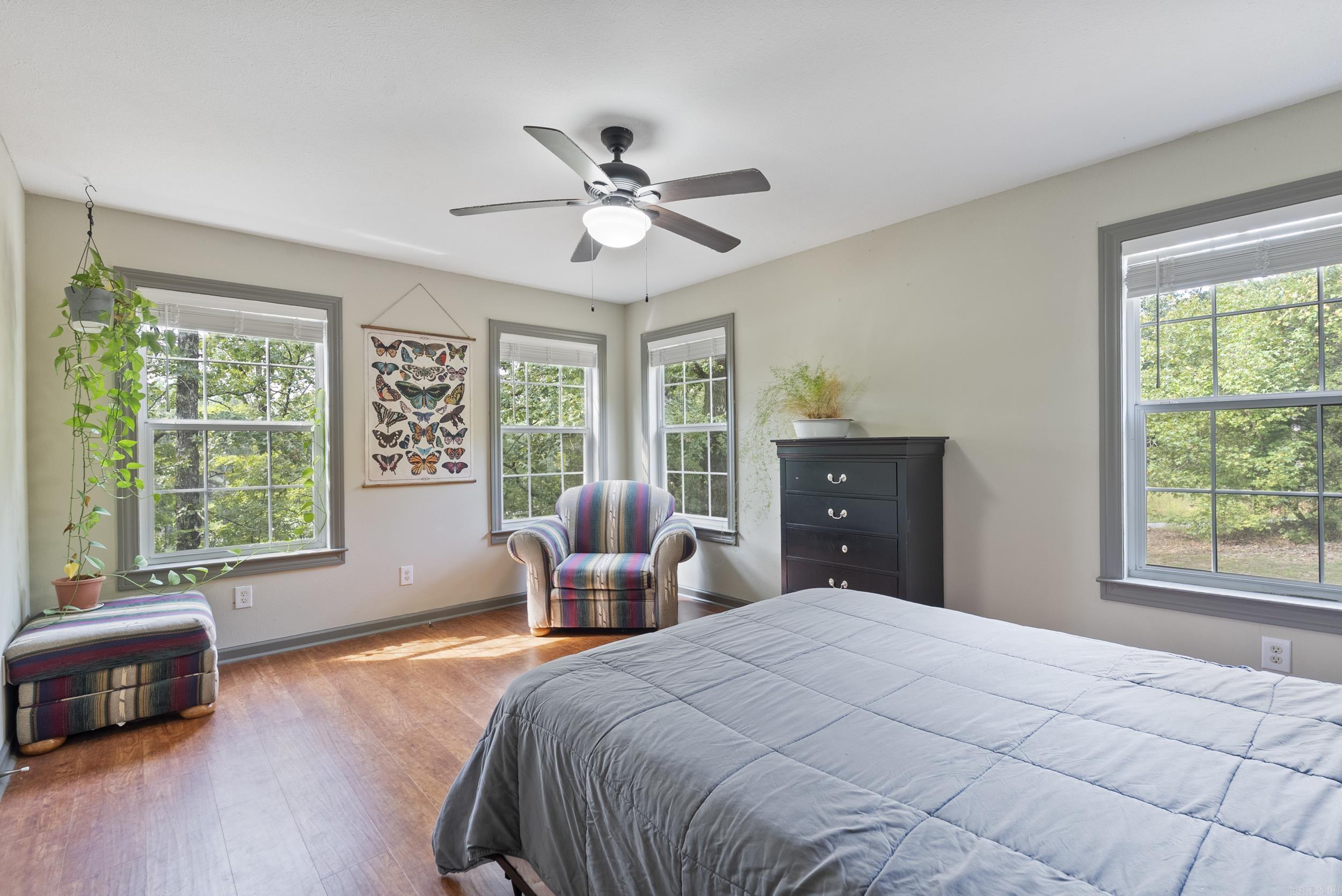 30 Conwell  Conway, AR