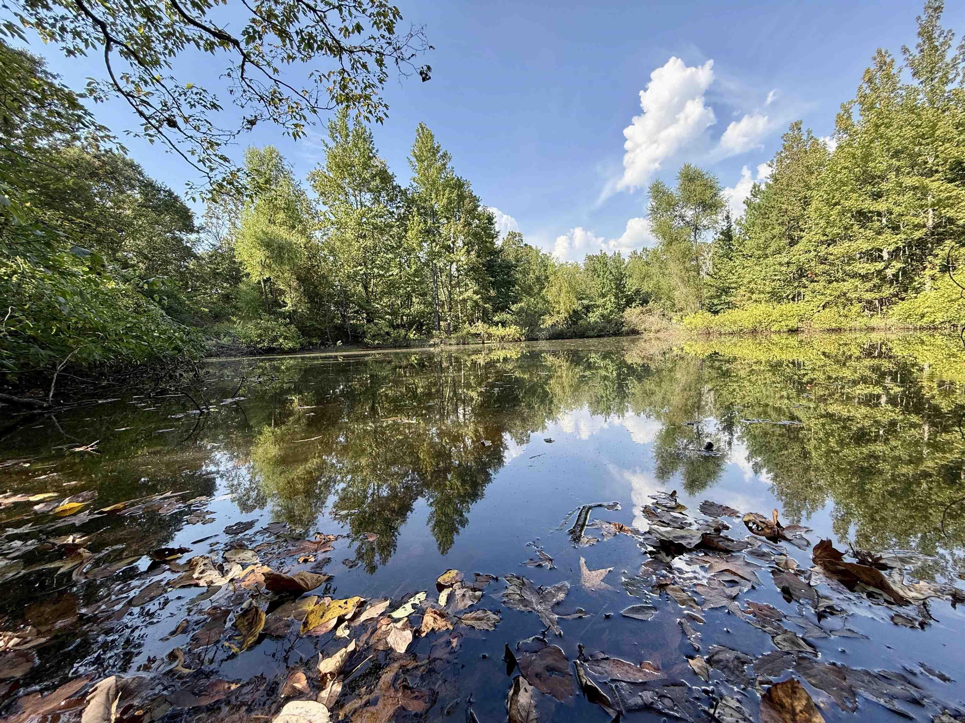 199 Polk Road 168  Mena, AR