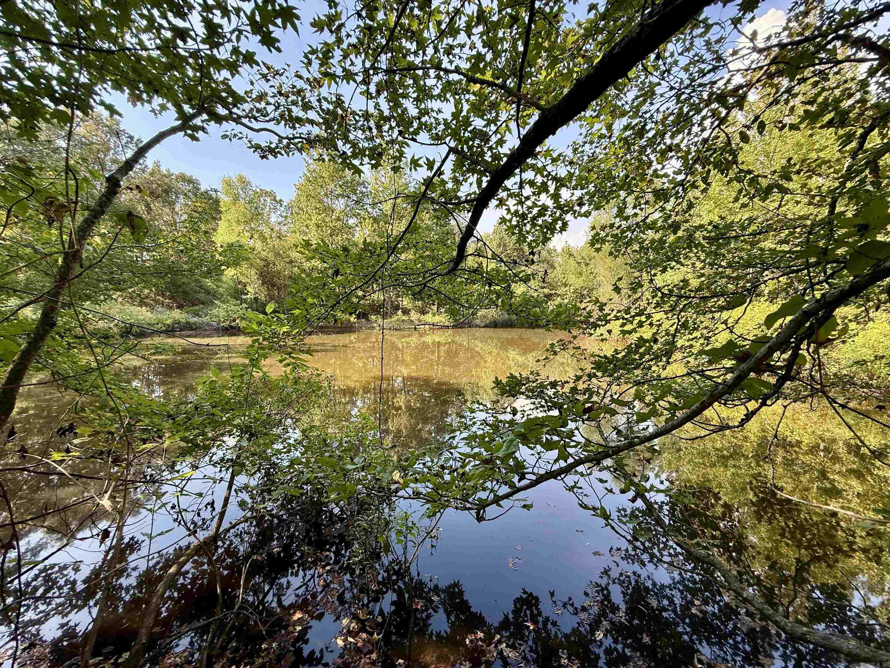 199 Polk Road 168  Mena, AR