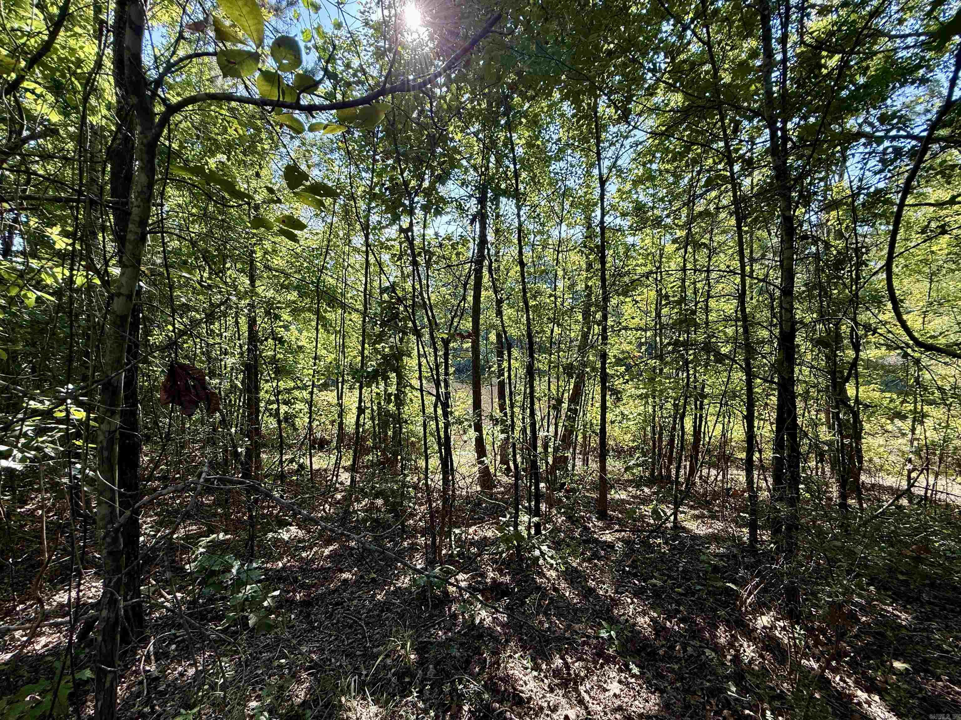 199 Polk Road 168  Mena, AR
