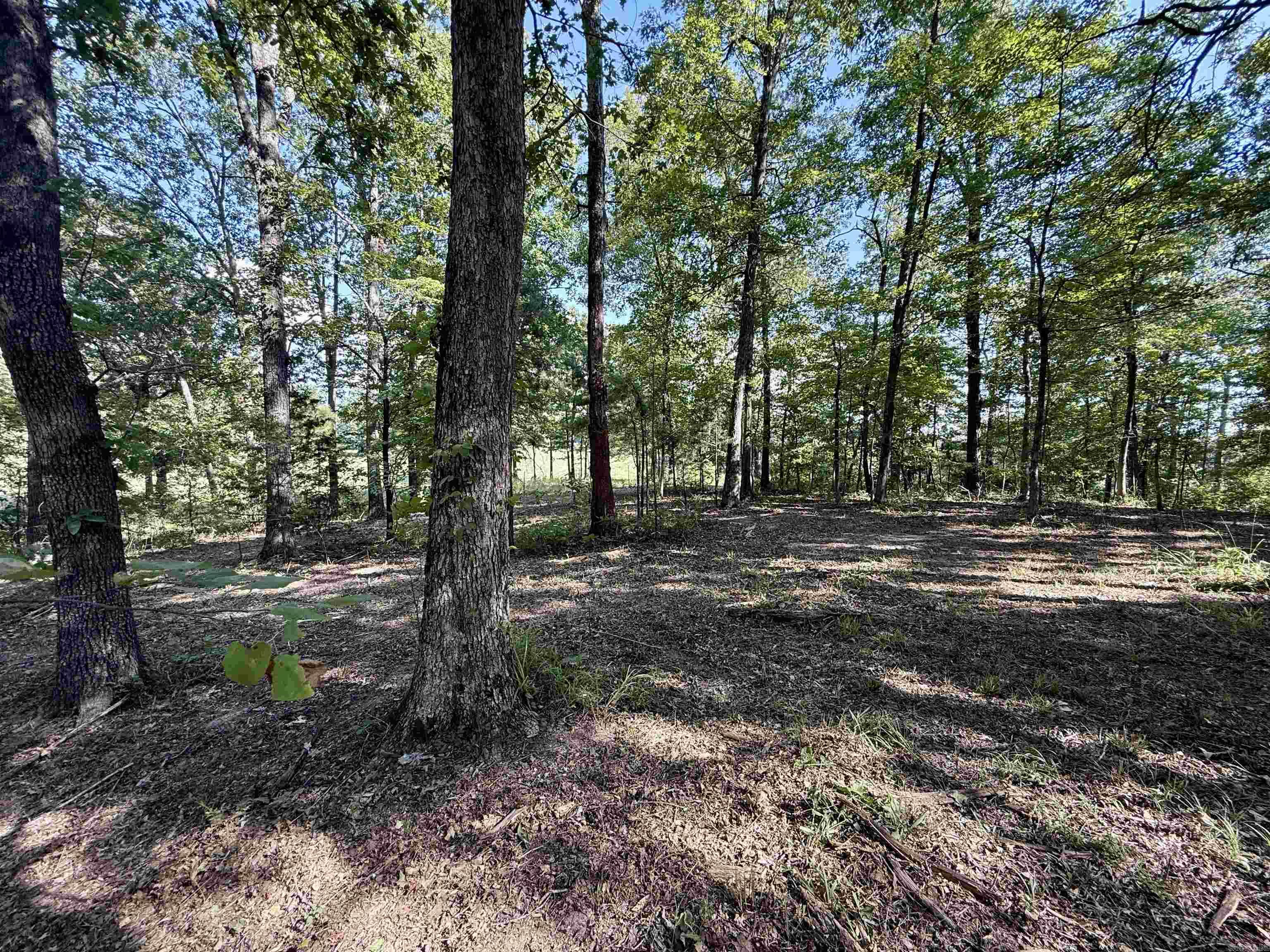 199 Polk Road 168  Mena, AR