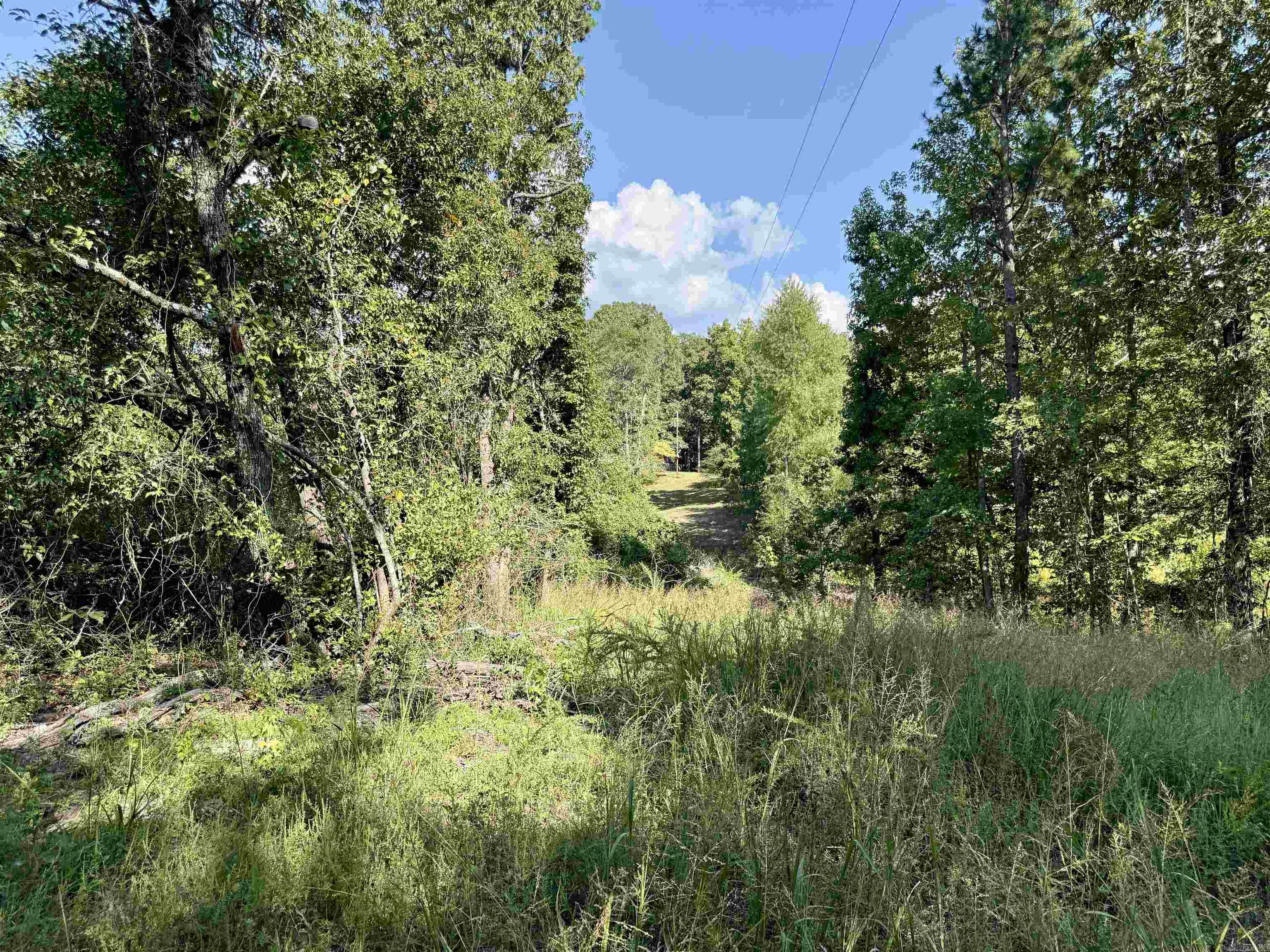199 Polk Road 168  Mena, AR