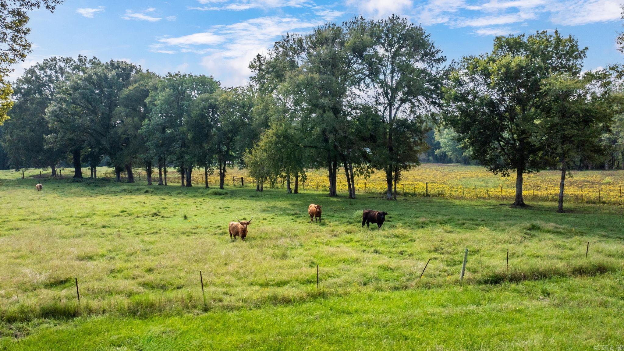15702 E Railroad  Roland, AR