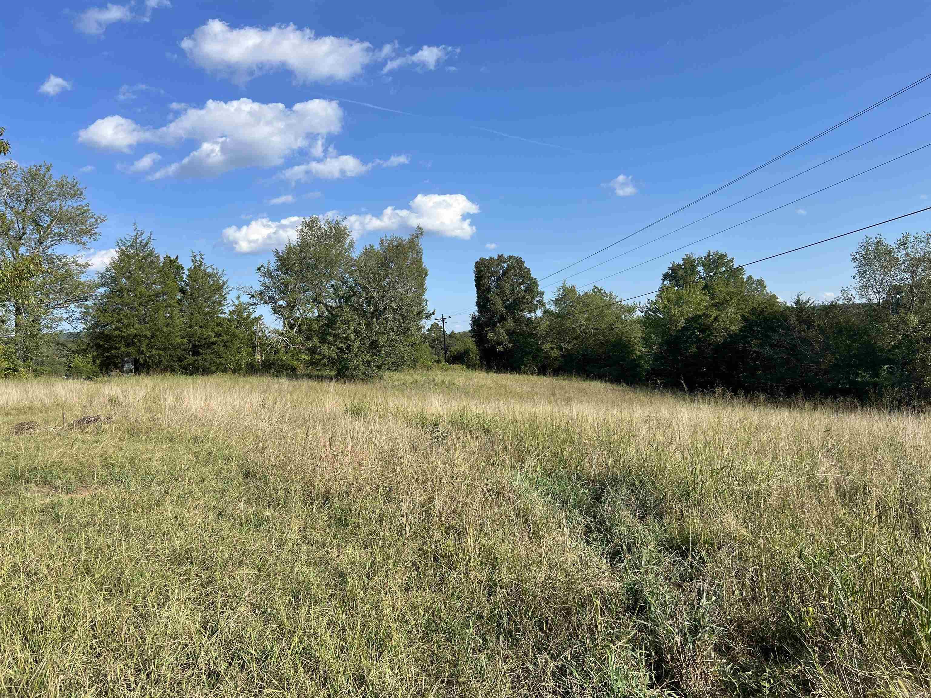 1435 Burnt Ridge Rd (Cabin)  Shirley, AR