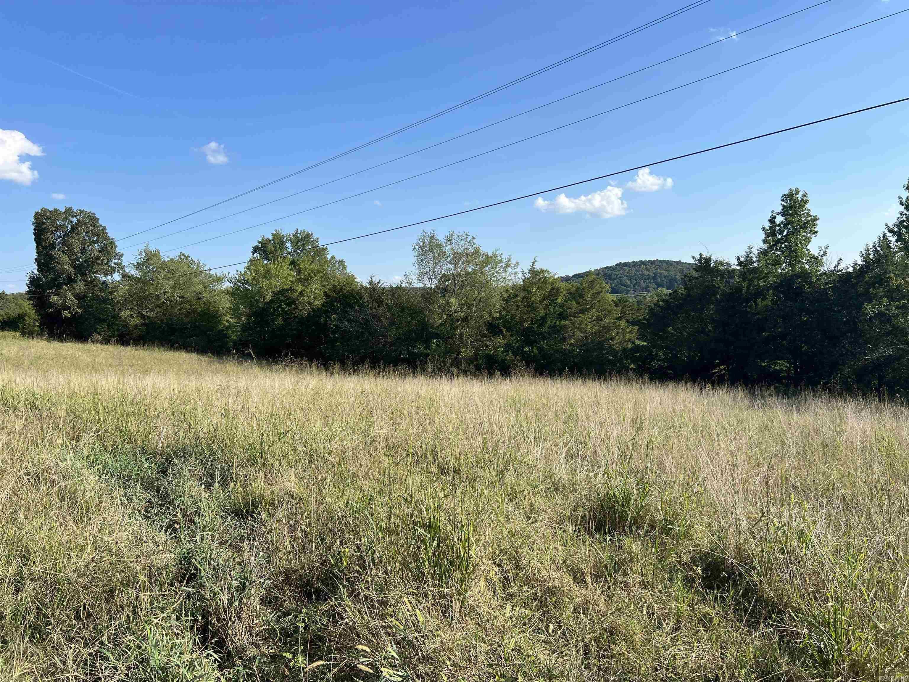 1435 Burnt Ridge Rd (Cabin)  Shirley, AR