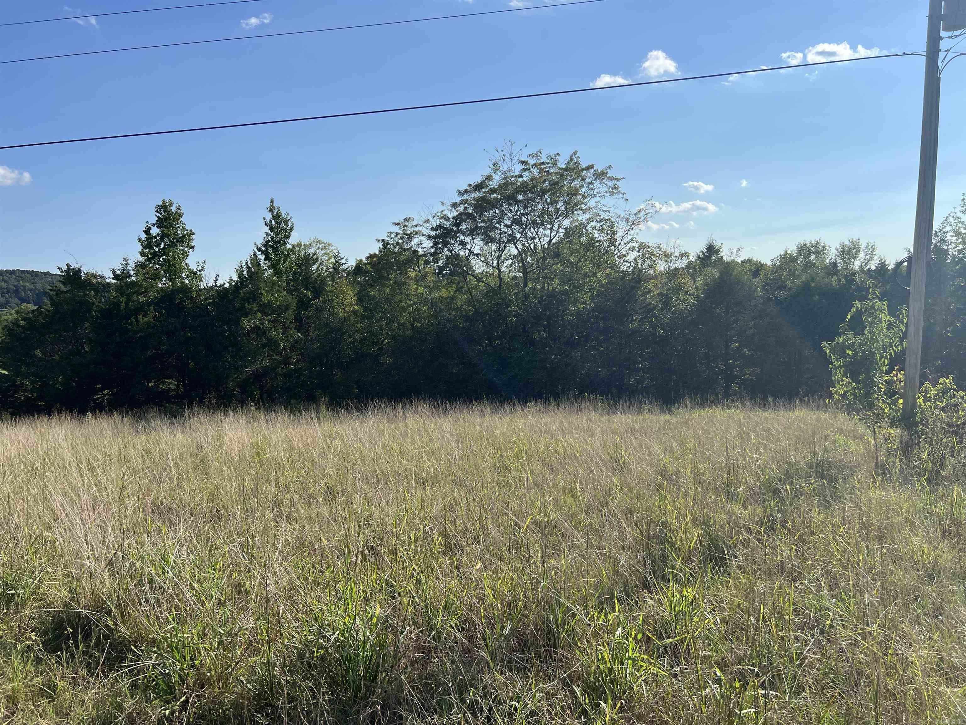 1435 Burnt Ridge Rd (Cabin)  Shirley, AR