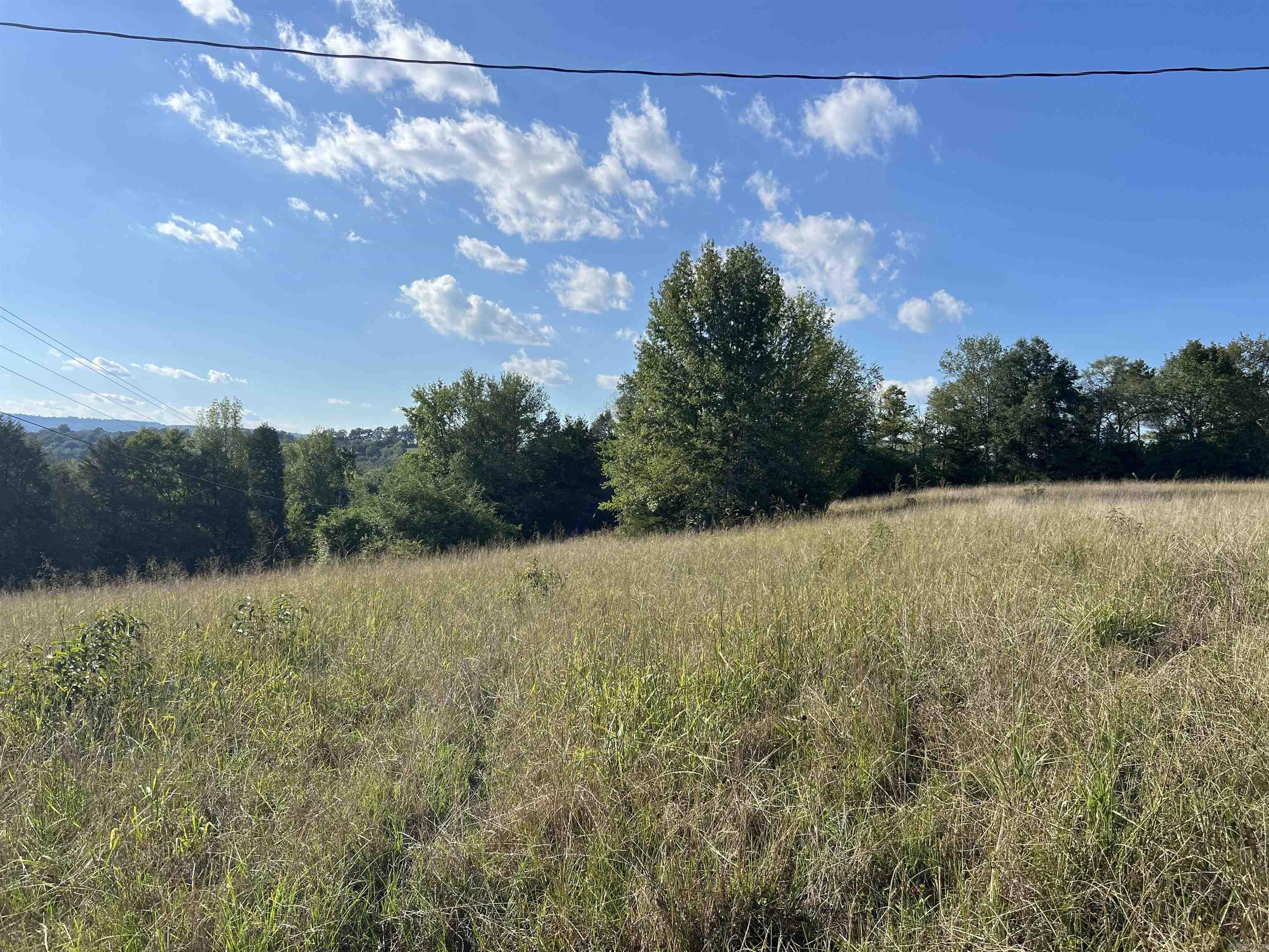 1435 Burnt Ridge Rd (Cabin)  Shirley, AR