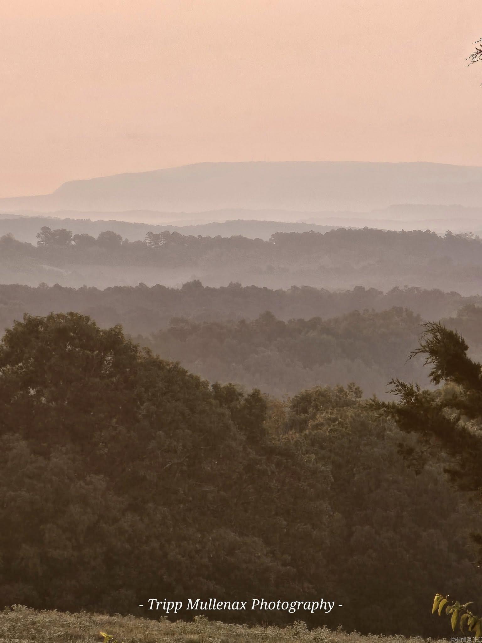 1931 Lawrence  Onia, AR