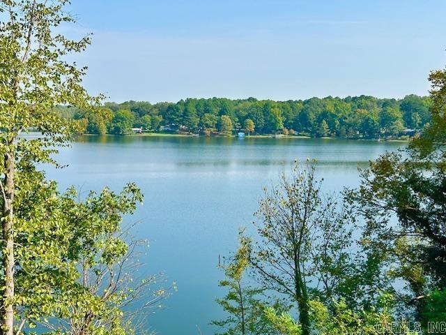 174 Ridge  Houston, AR