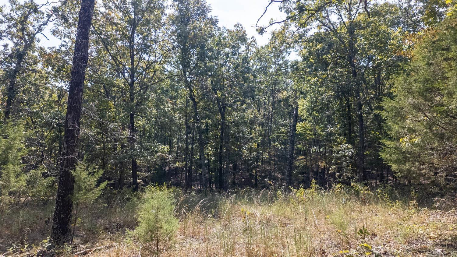 000 County Road 3540  Mountain View, MO, MO