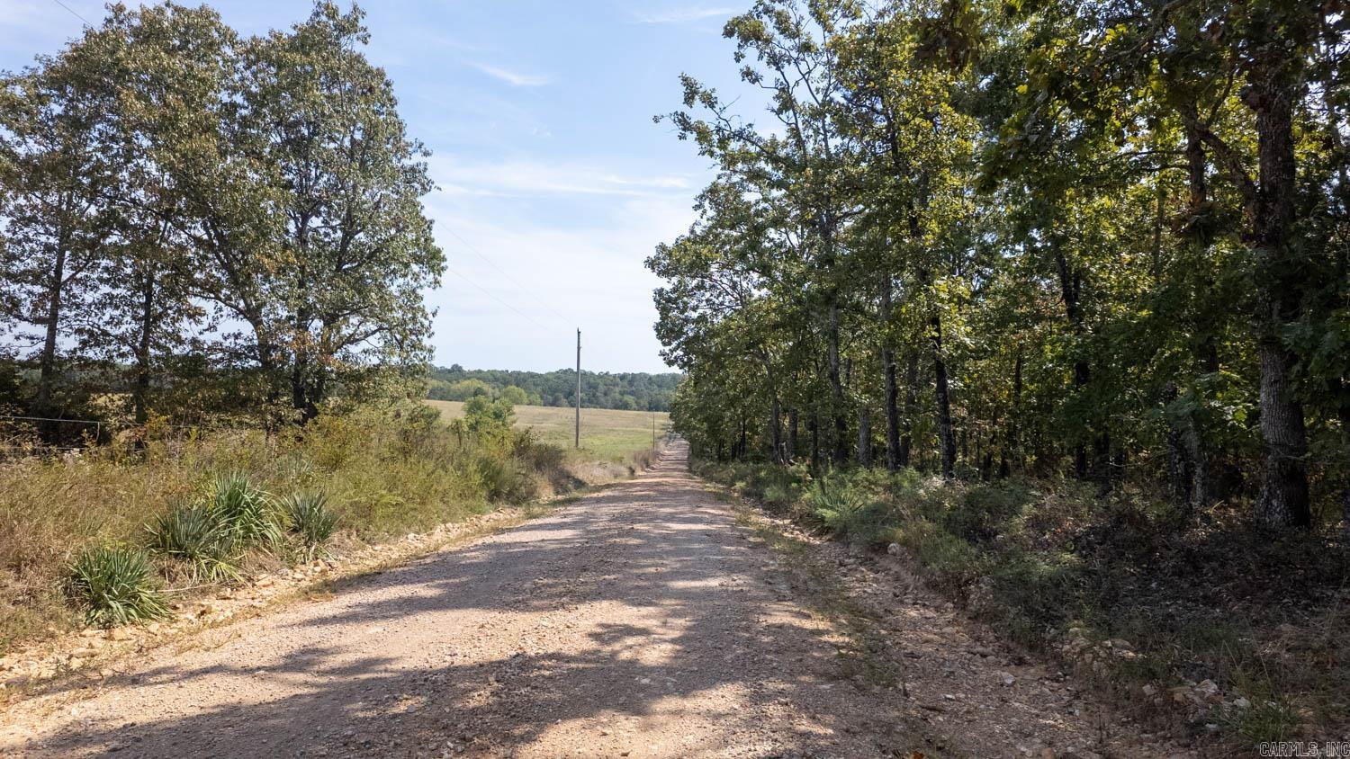 000 County Road 3540  Mountain View, MO, MO