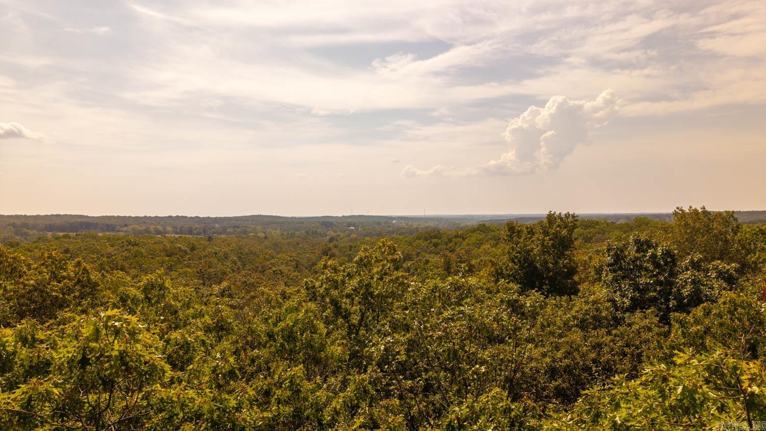 000 County Road 3540  Mountain View, MO, MO