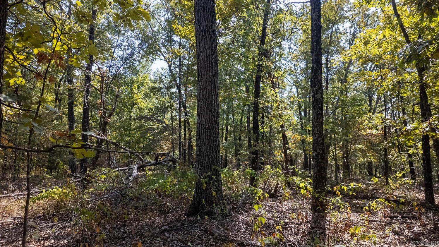 000 County Road 3540  Mountain View, MO, MO