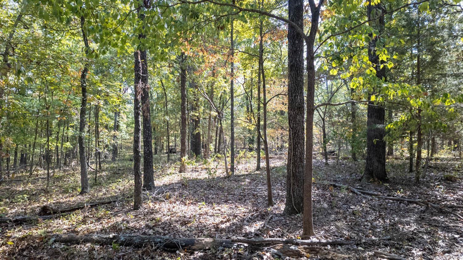 000 County Road 3540  Mountain View, MO, MO