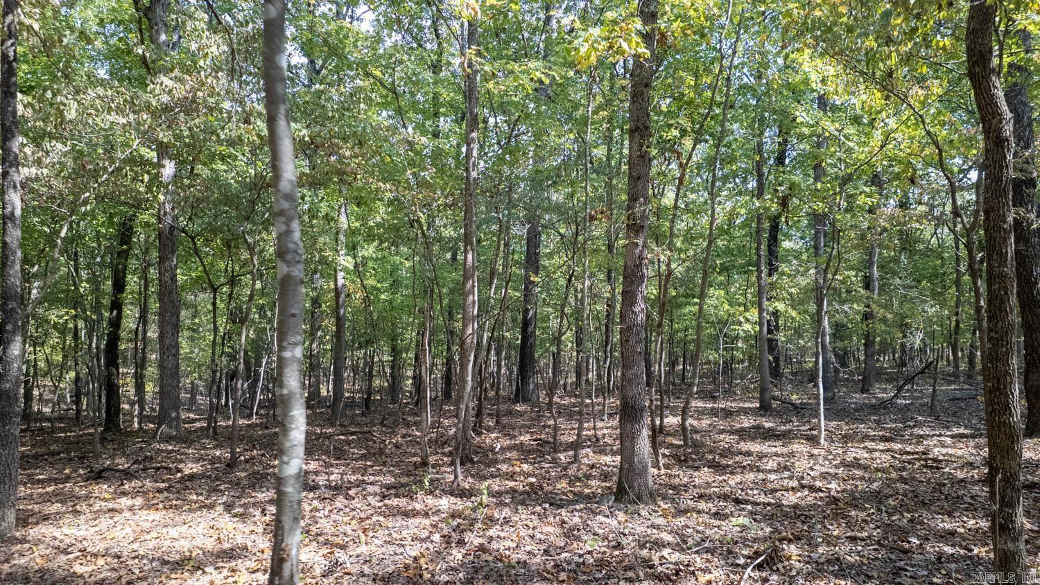 000 County Road 3540  Mountain View, MO, MO