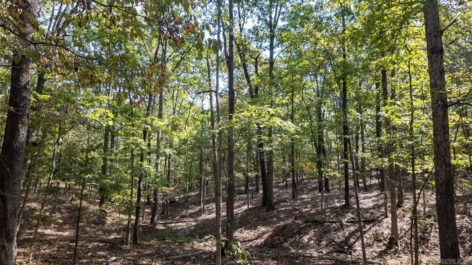 000 County Road 3540  Mountain View, MO, MO