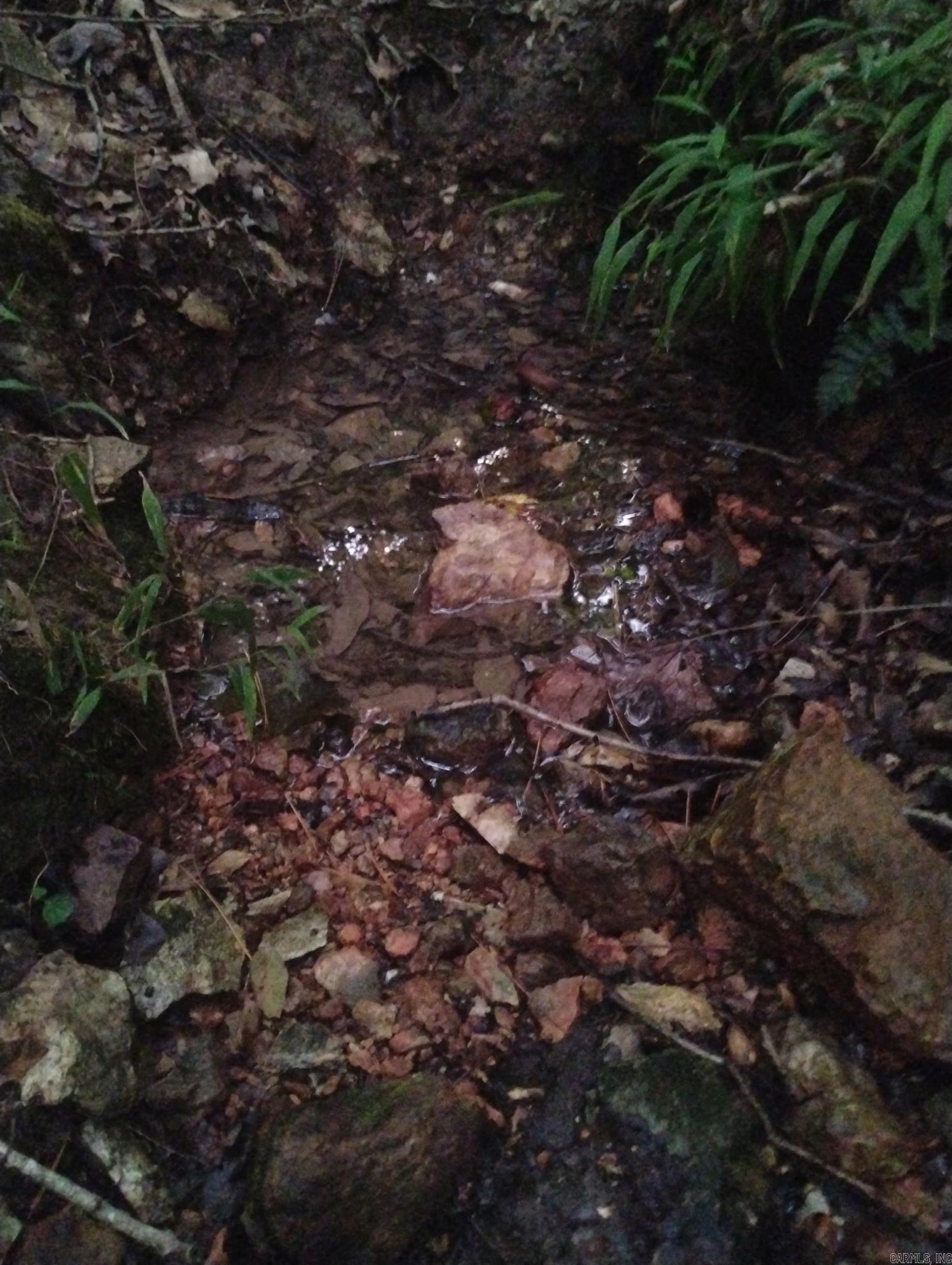 001-03594-001 MC 6047  Yellville, AR