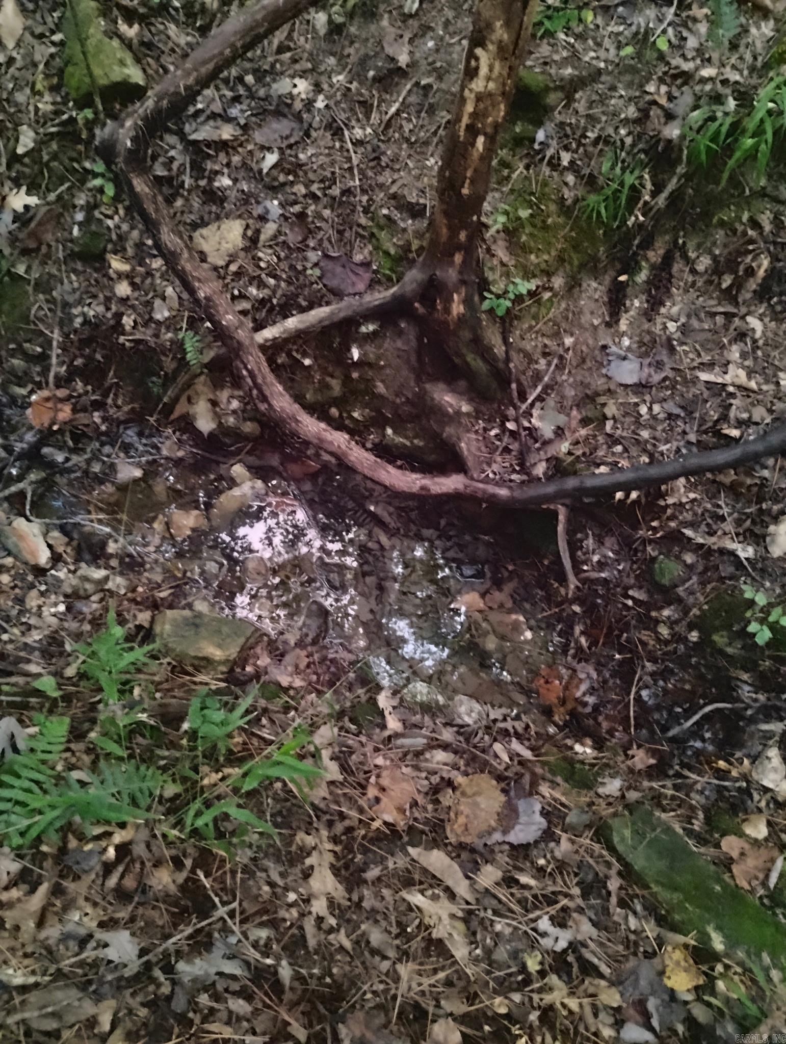 001-03594-001 MC 6047  Yellville, AR