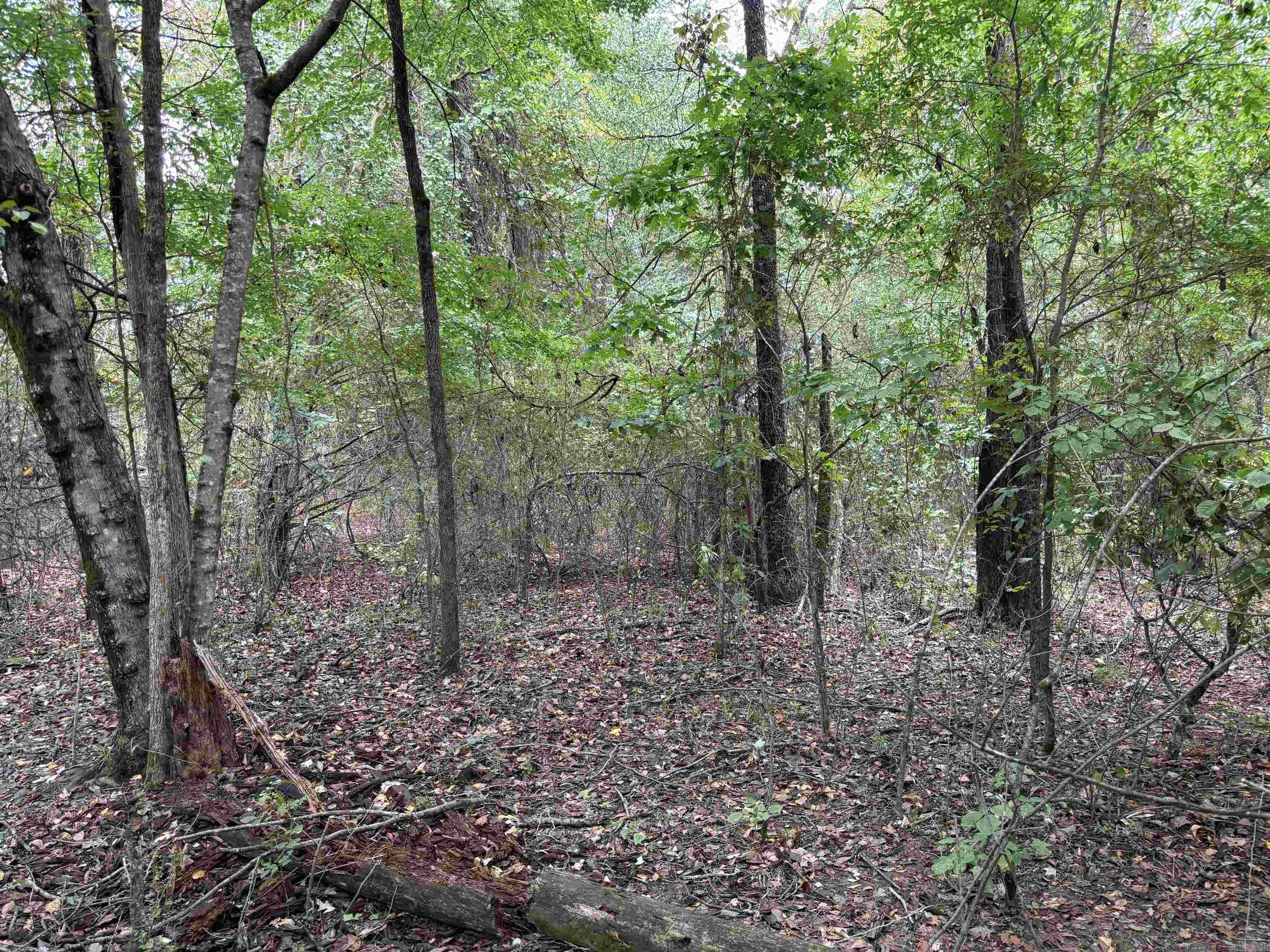 38 Baker Lane  Hattieville, AR