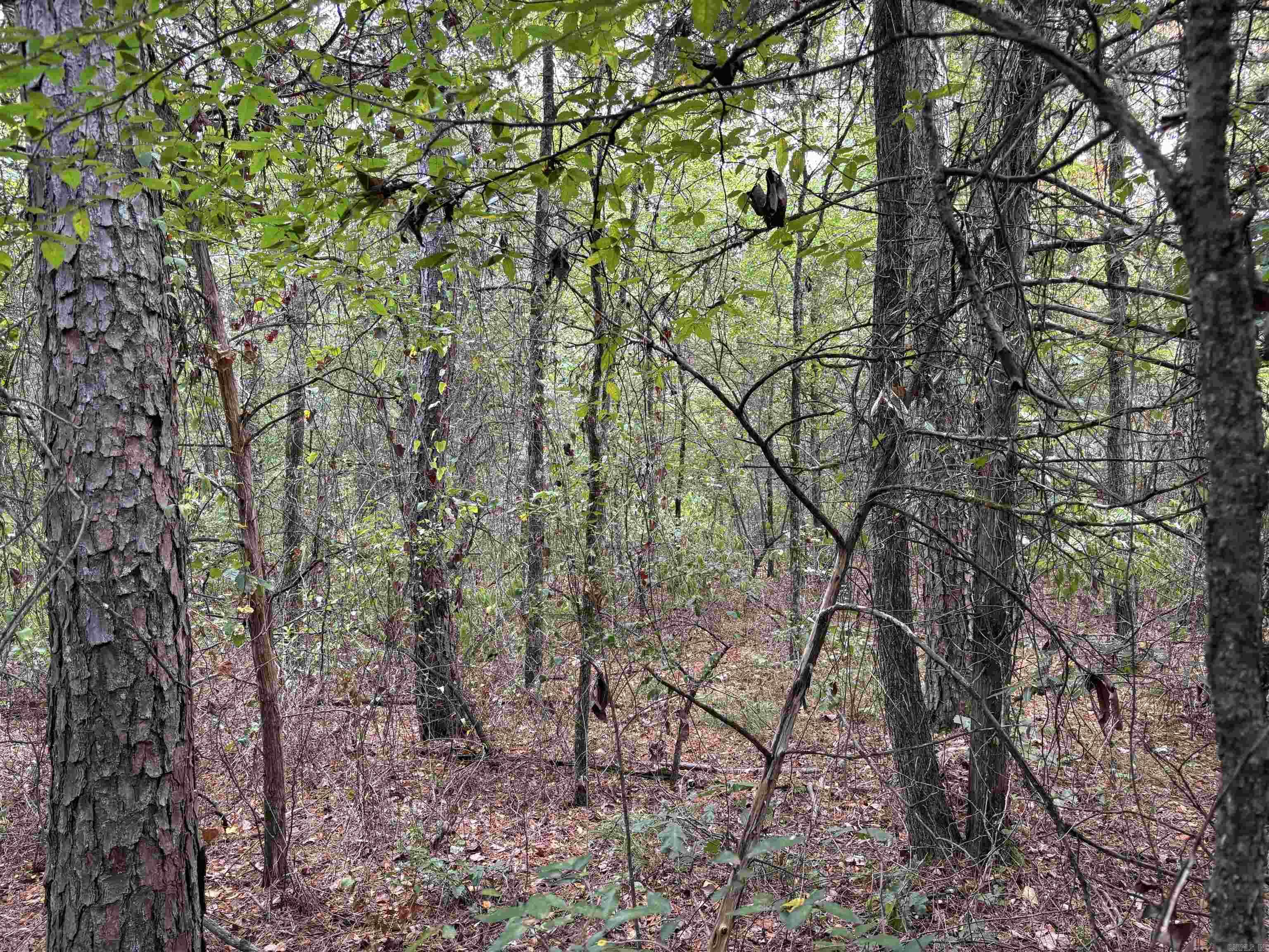 38 Baker Lane  Hattieville, AR