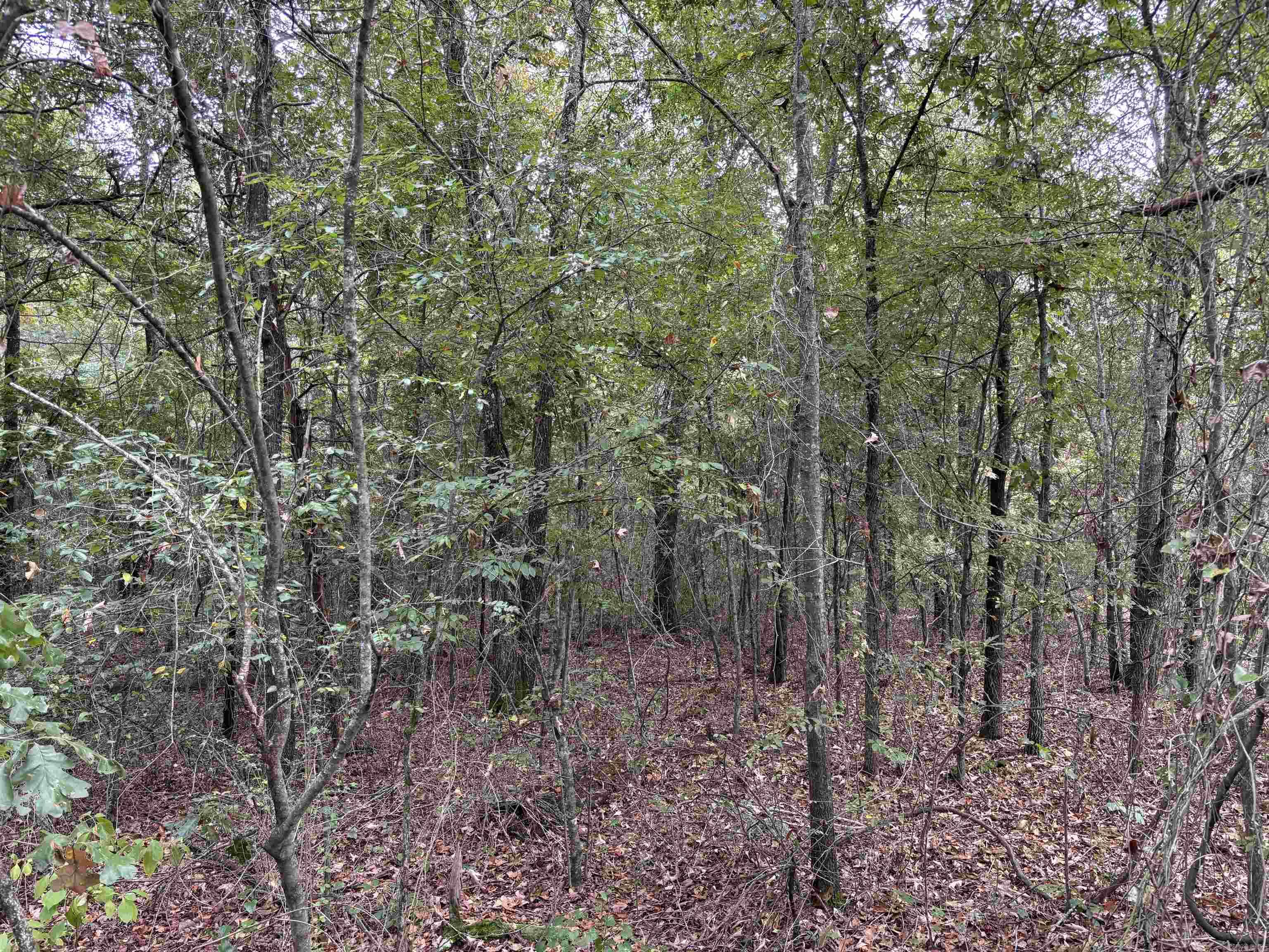 38 Baker Lane  Hattieville, AR