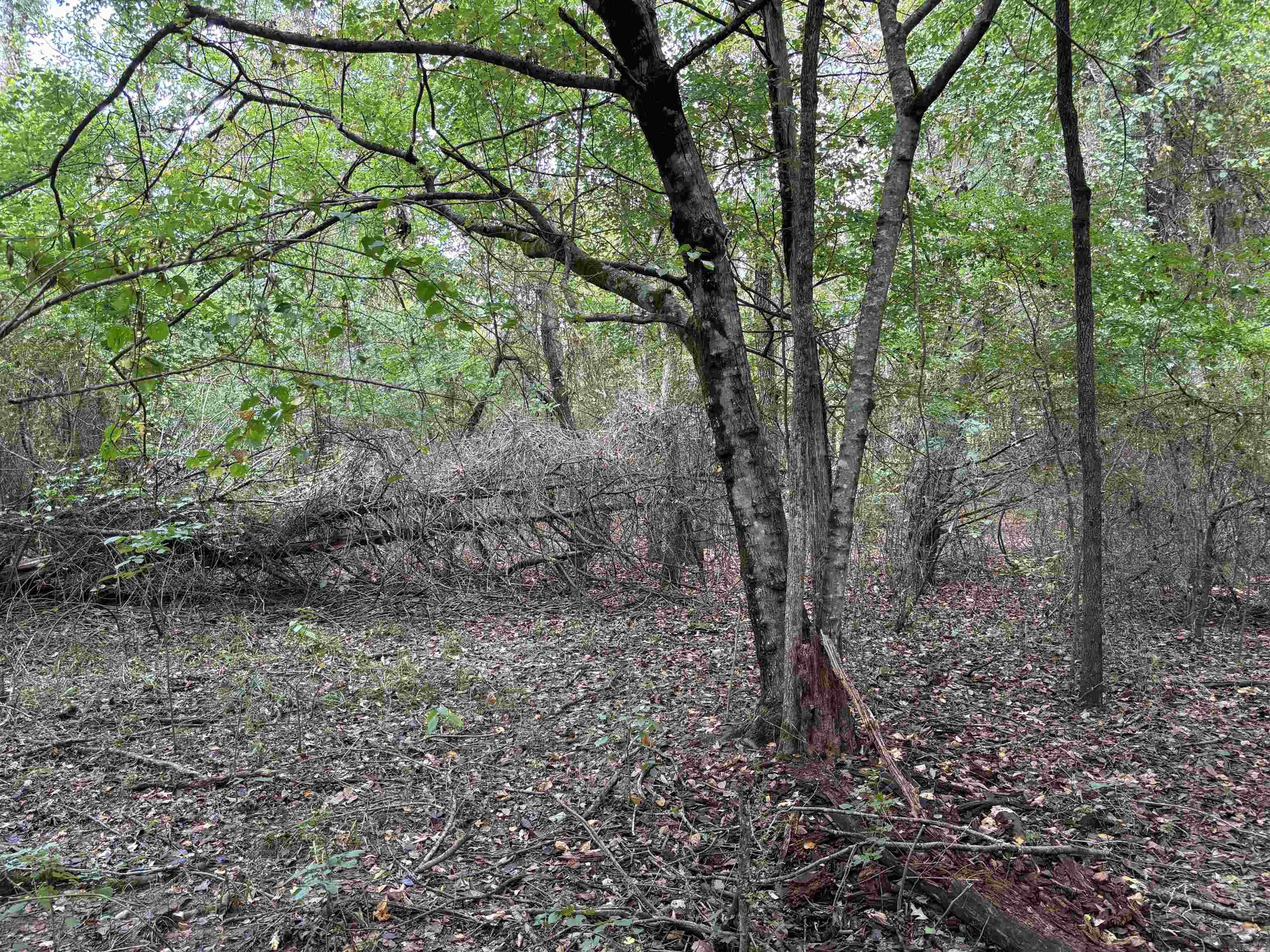 38 Baker Lane  Hattieville, AR