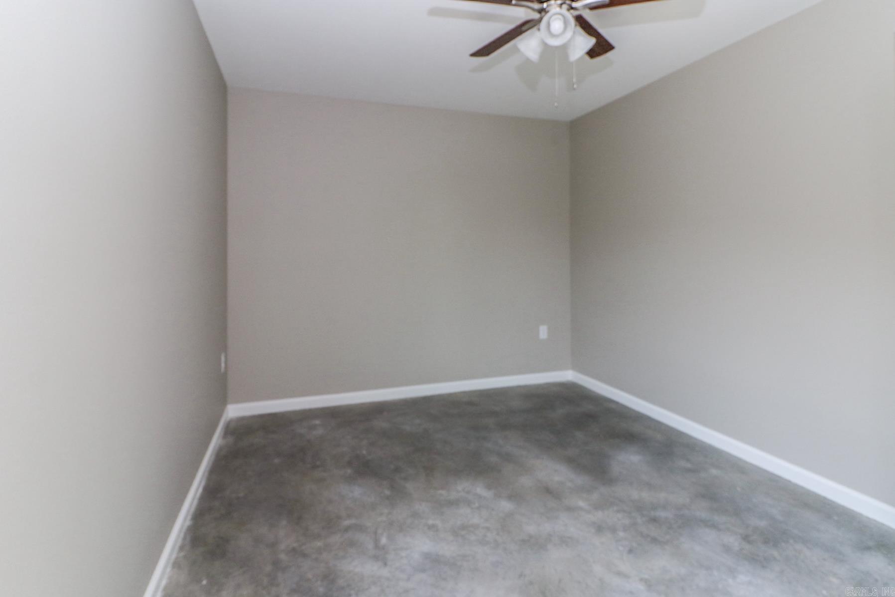 137 Waterfowl  Lake City, AR