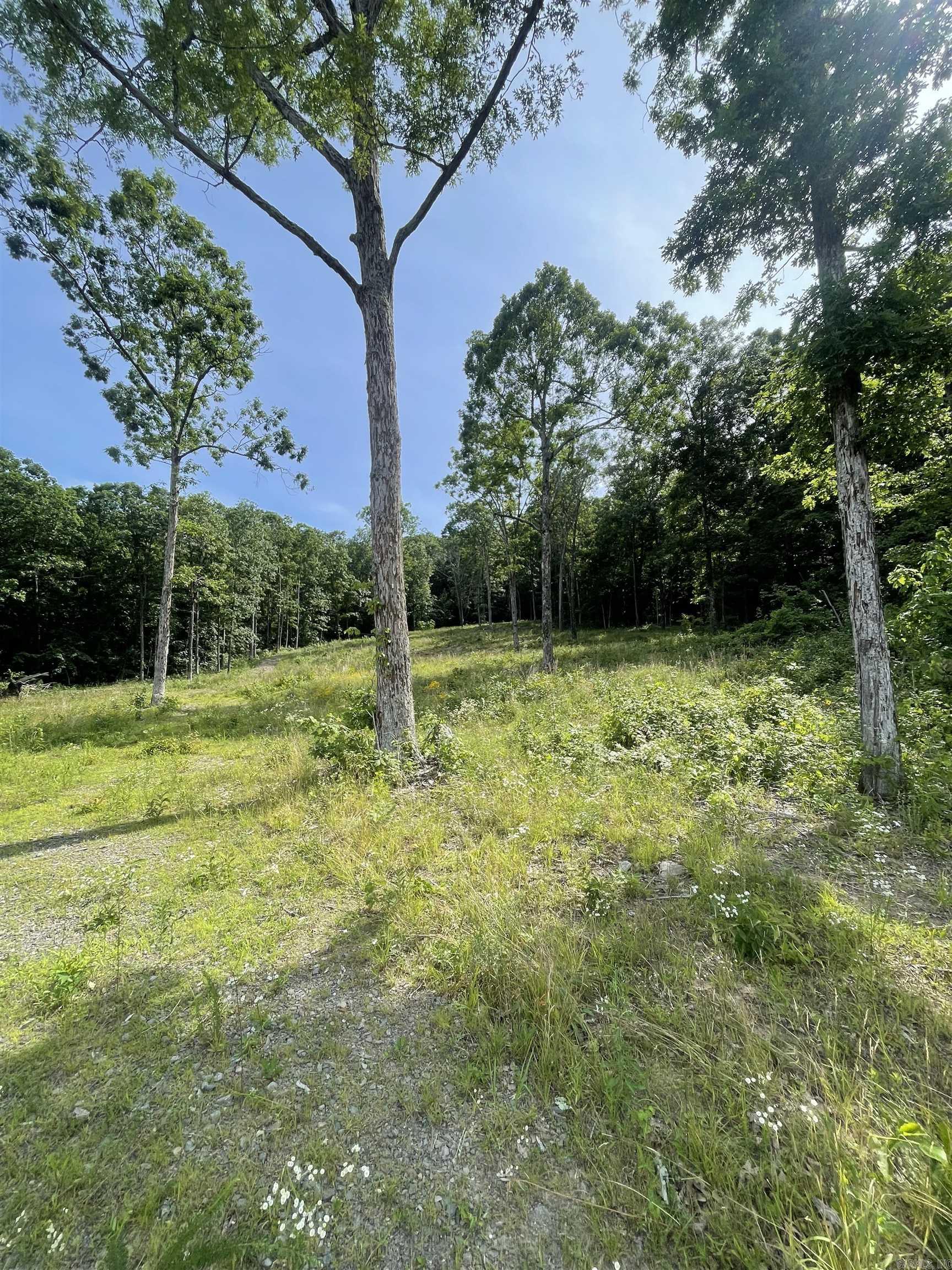 00 N Highway 65  Botkinburg, AR