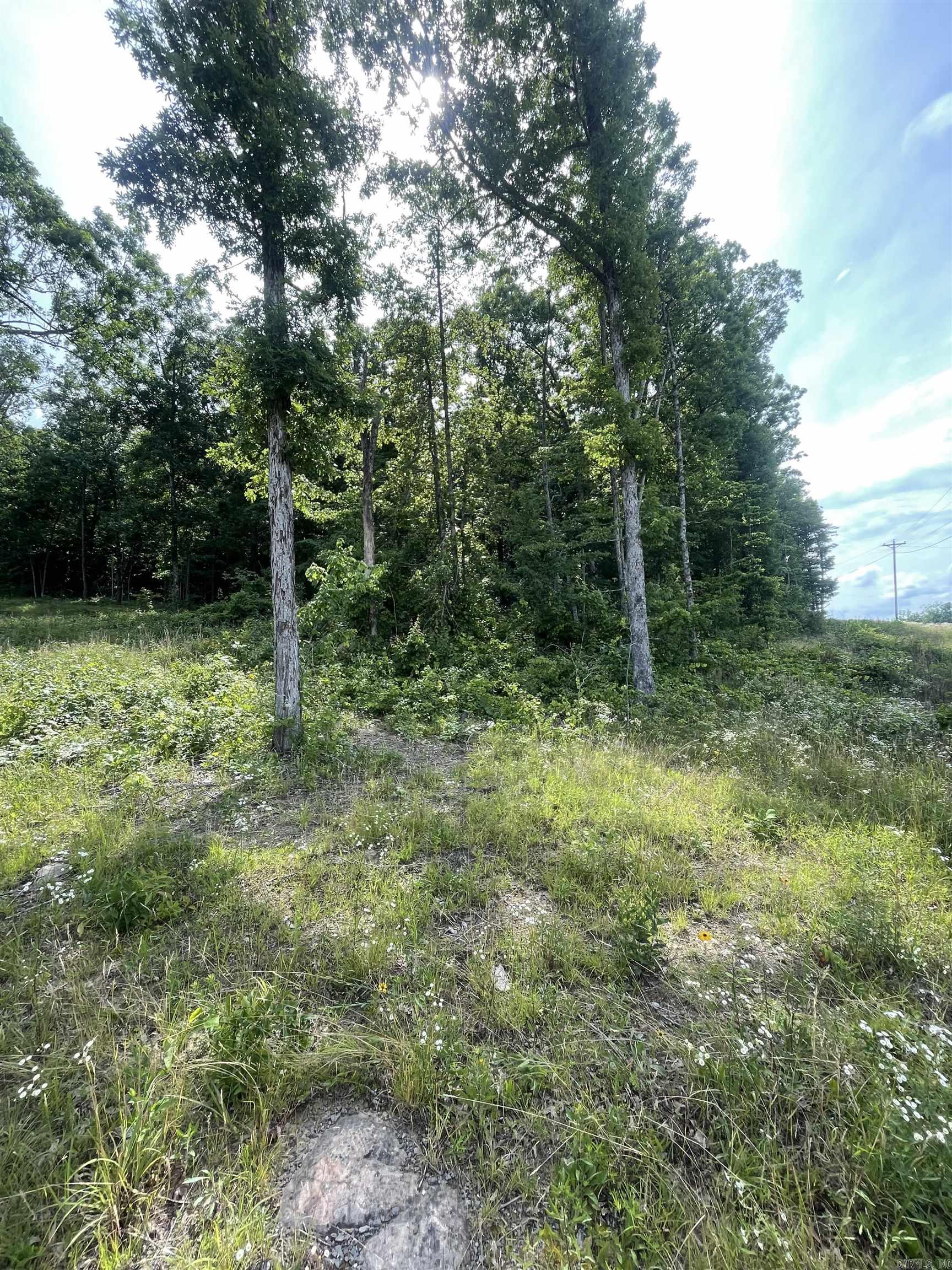 00 N Highway 65  Botkinburg, AR