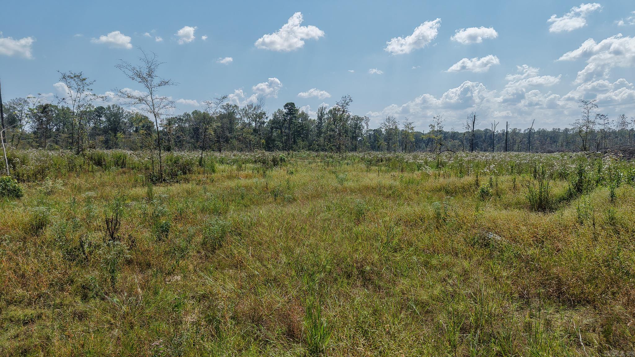 TBD Tram Rd  Horatio, AR