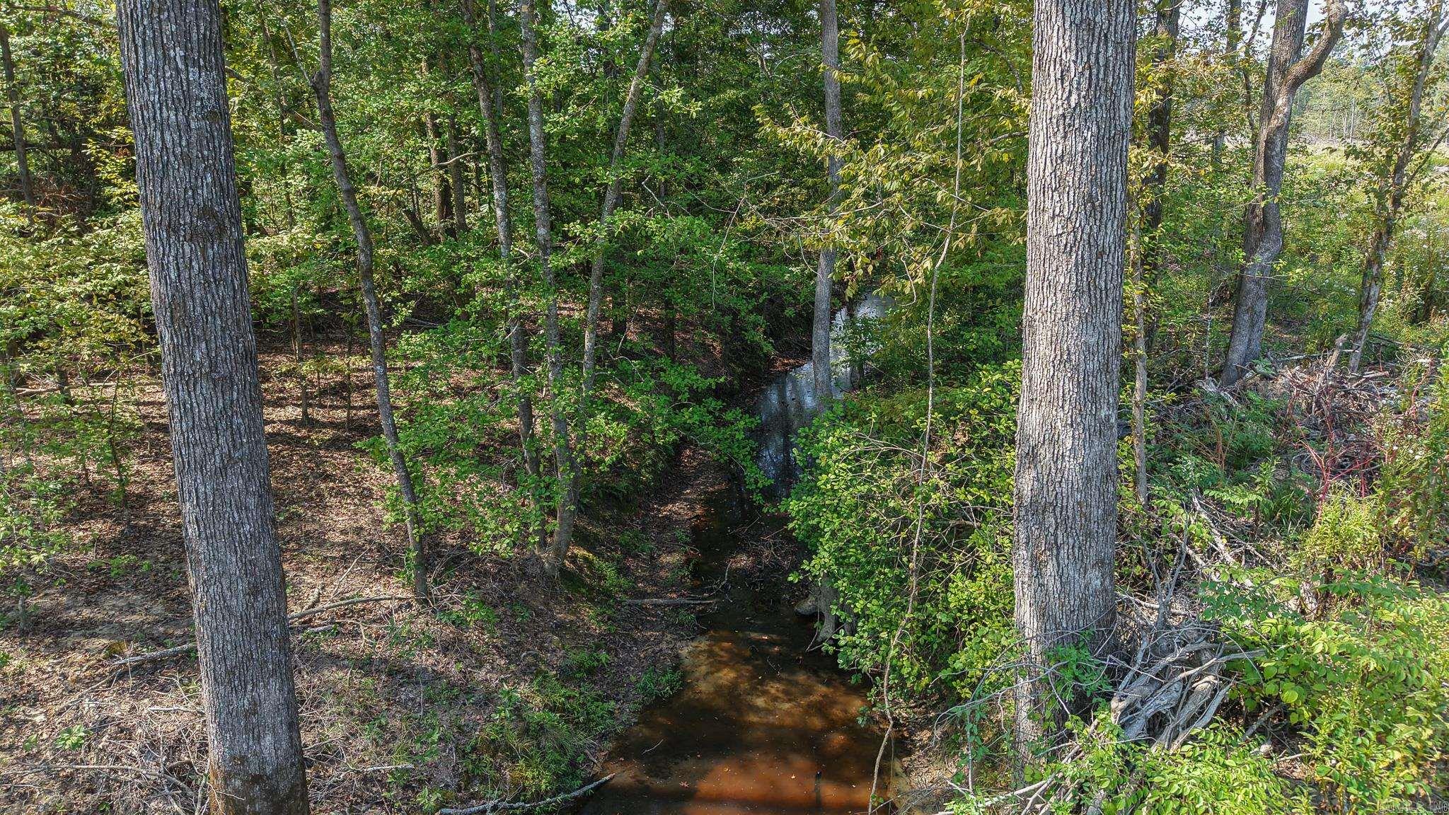 TBD Tram Rd  Horatio, AR